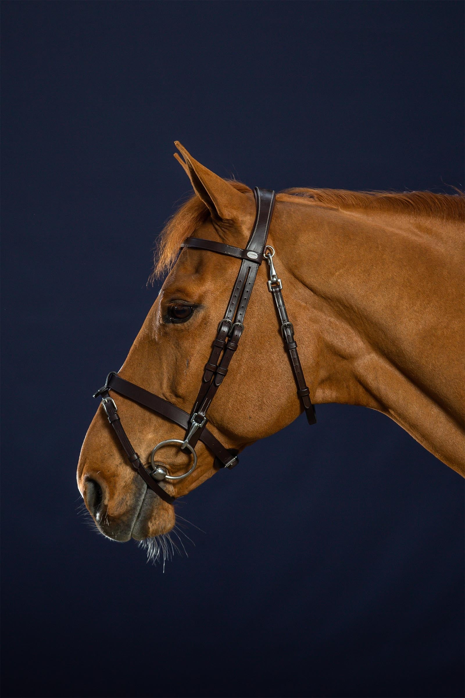 Dy'on Working Flat Leather Bridle With Snap Hooks  Bridles & Reins