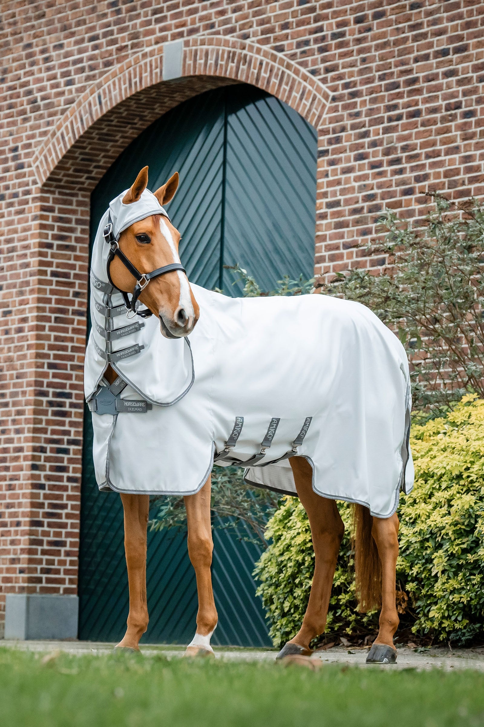 Horseware Amigo Ripstop Légytakaró Lótakarók