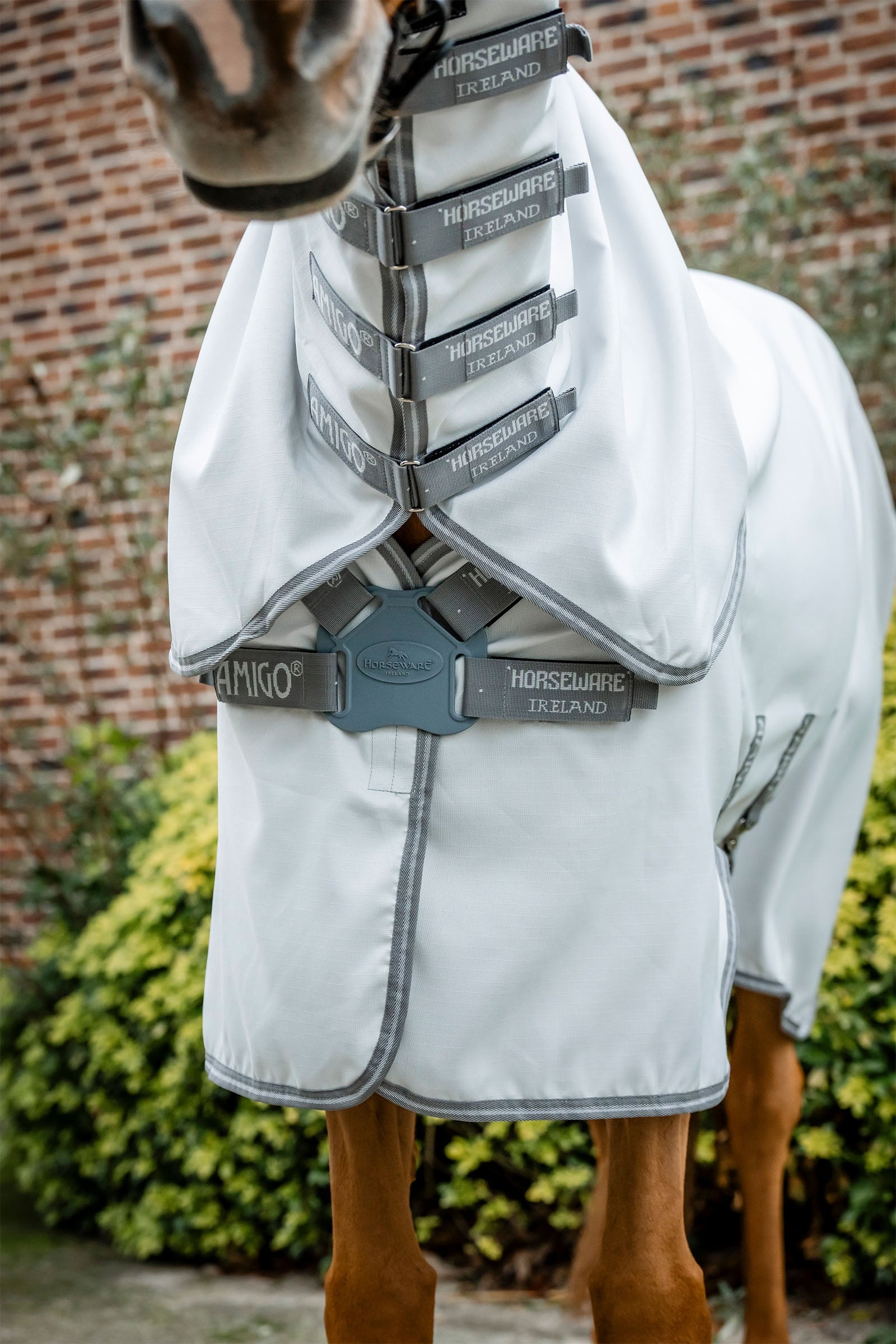 Horseware Amigo Ripstop Hoody Horse Rugs