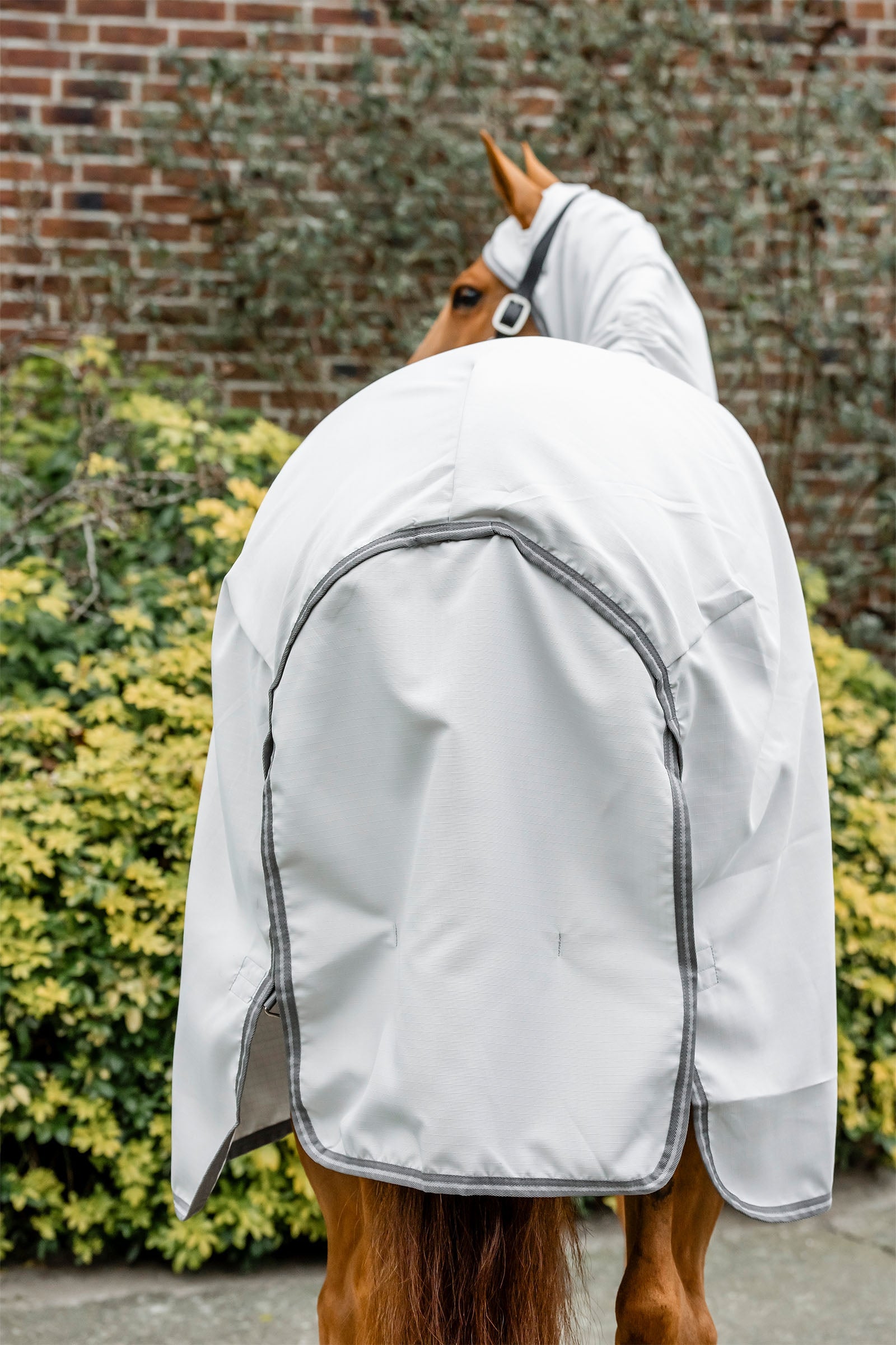 Horseware Amigo Ripstop Hoody Horse Rugs