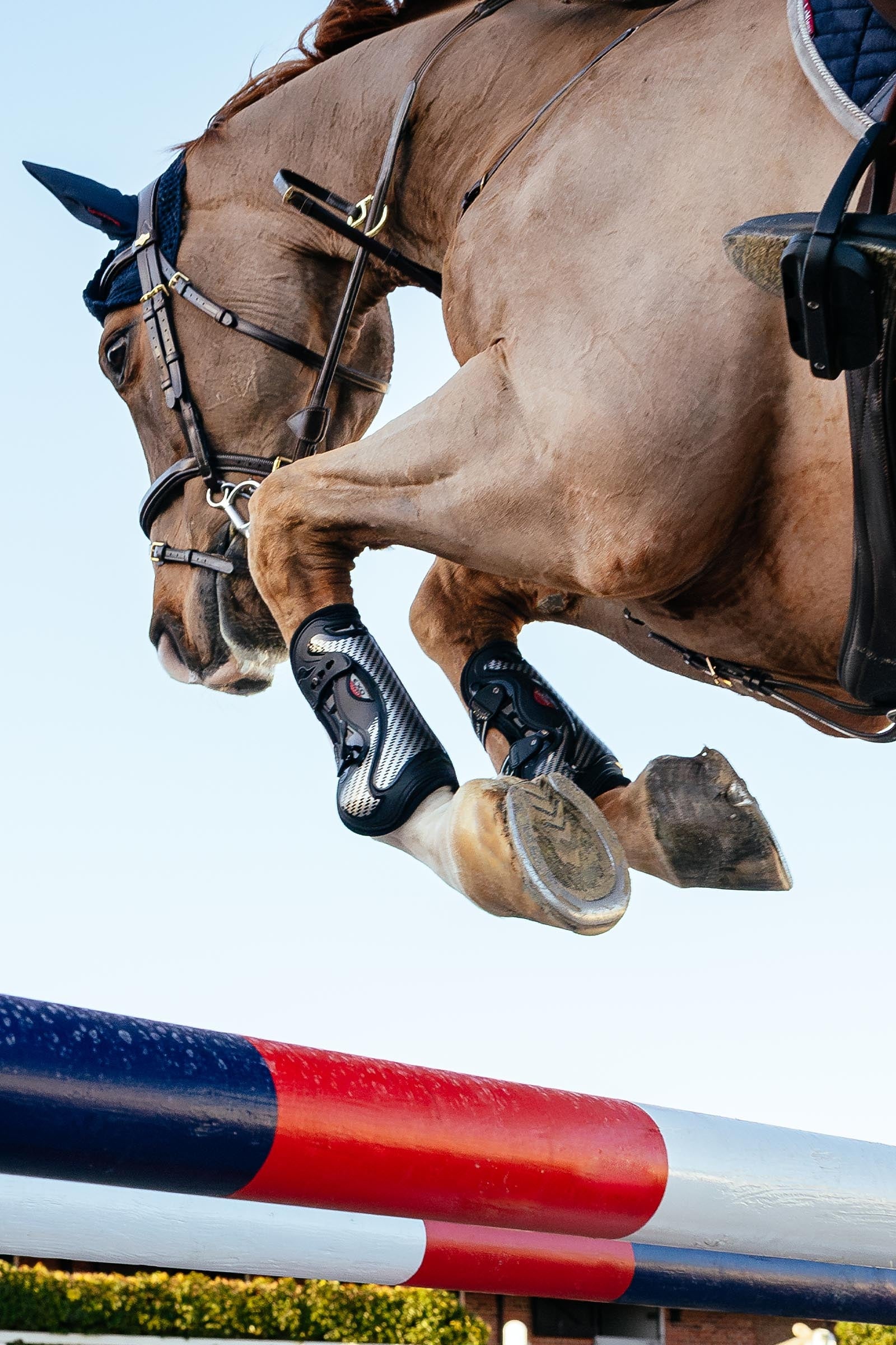 LeMieux EXO Flex Tendon Boots Leg & Hoof Protection
