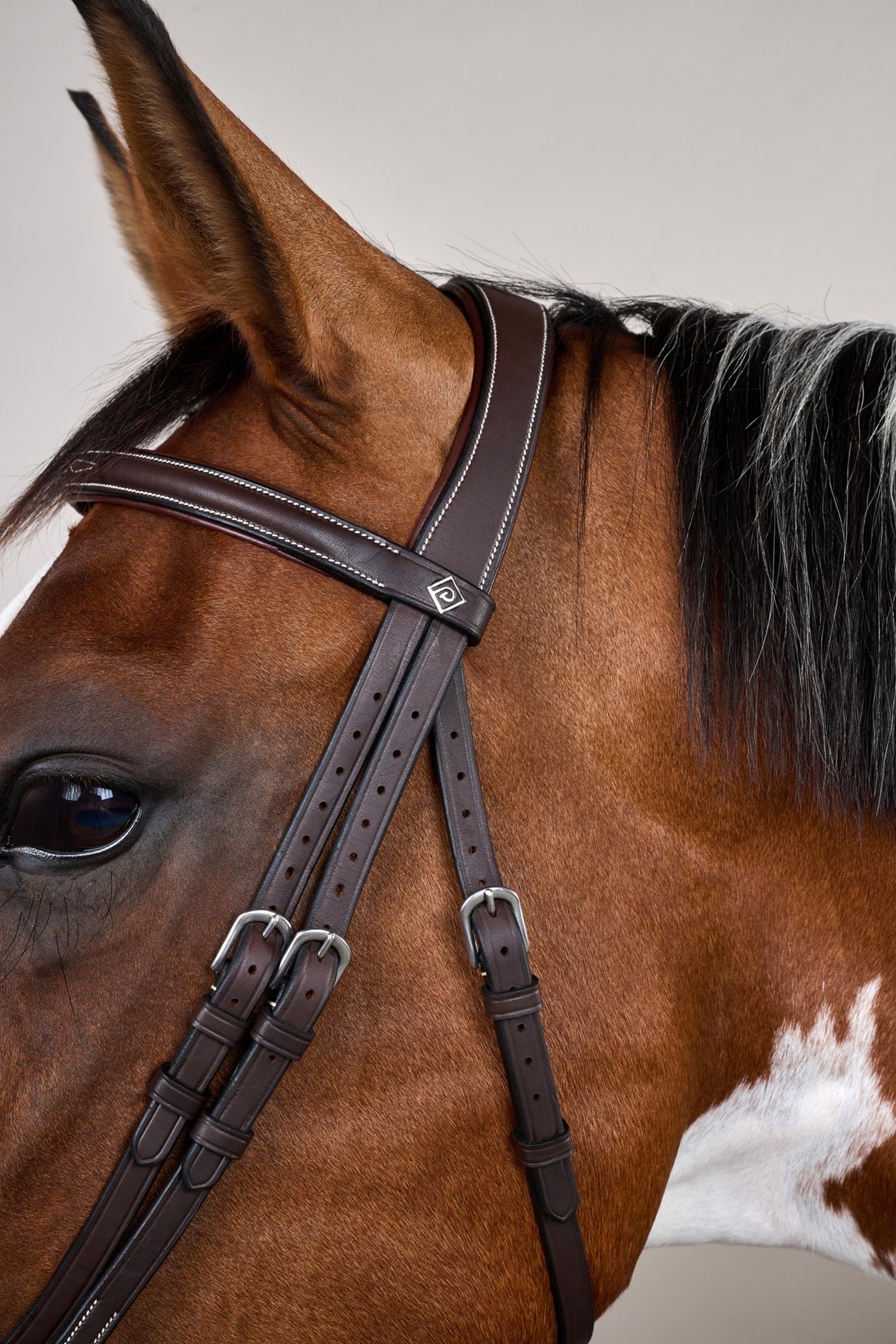 Dy'on Working Flash Noseband Bridle With Snaps Bridles & Reins