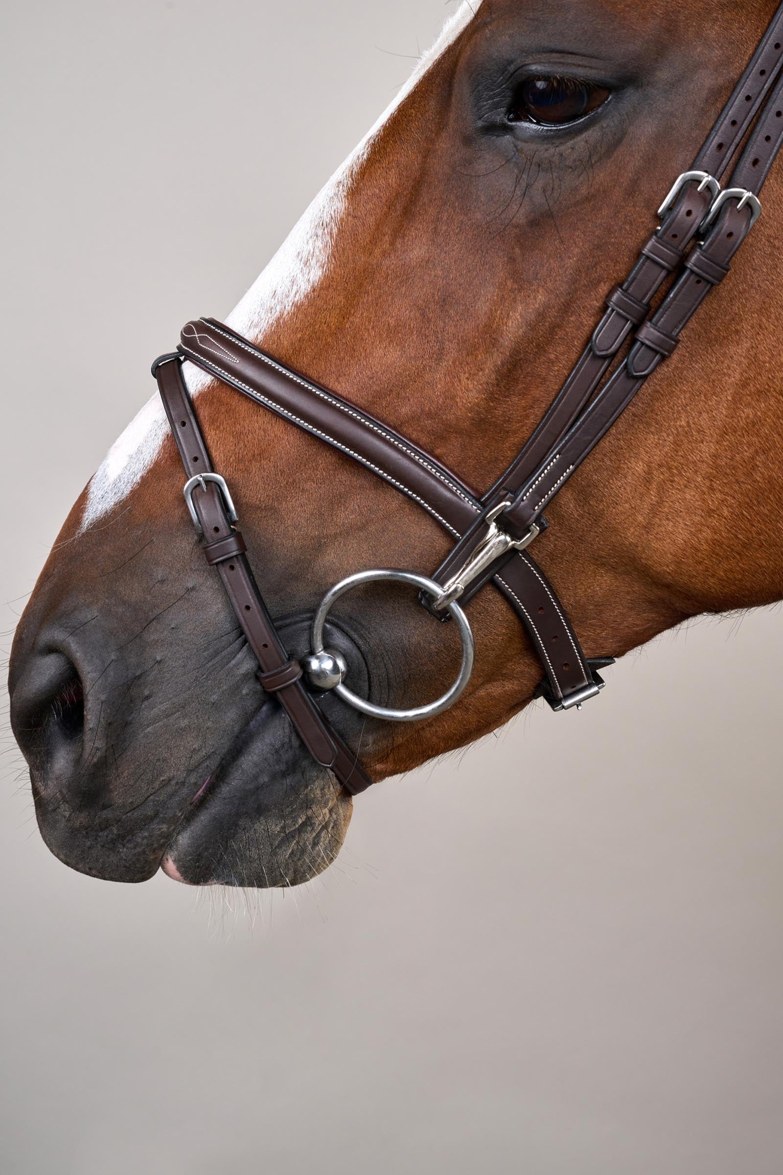 Dy'on Working Flash Noseband Bridle With Snaps Bridles & Reins