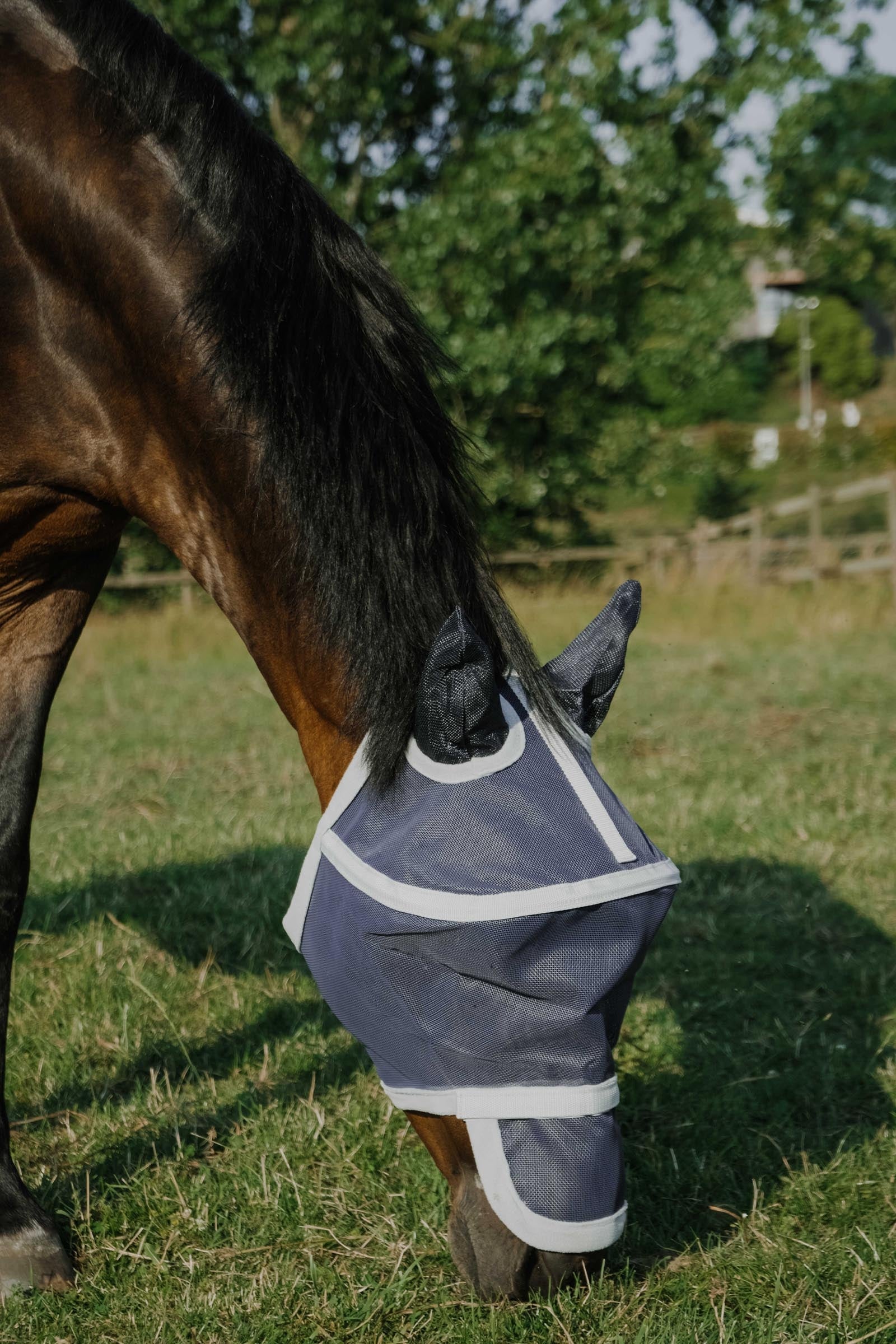 EQUITHÈME Cerceau Fly Mask/ UV Mask Antifly Protection for Horses