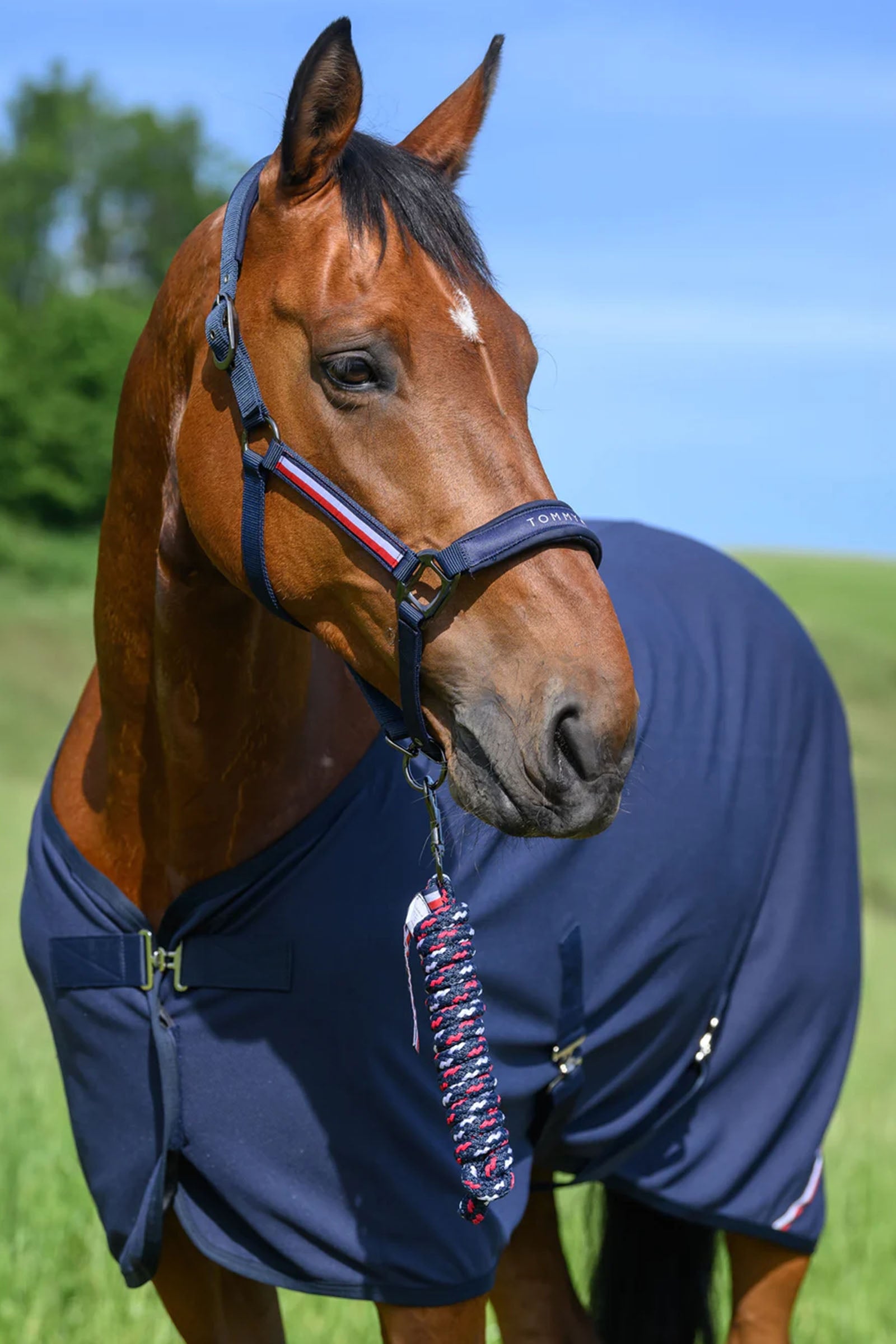 Tommy Hilfiger Equestrian Lincoln Halter Halters & Leads
