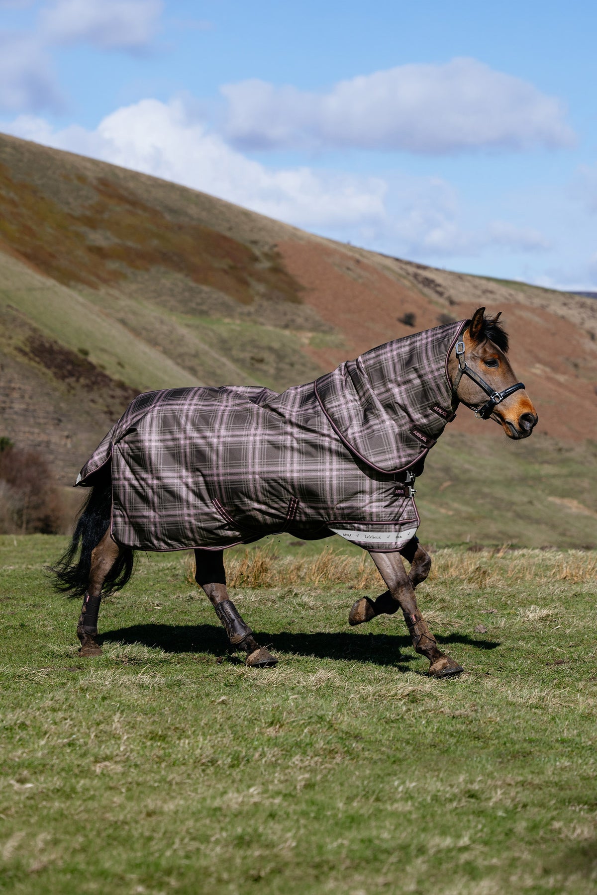 LeMieux Arika Heritage Check Turnout Rug, 100 g Horse Rugs
