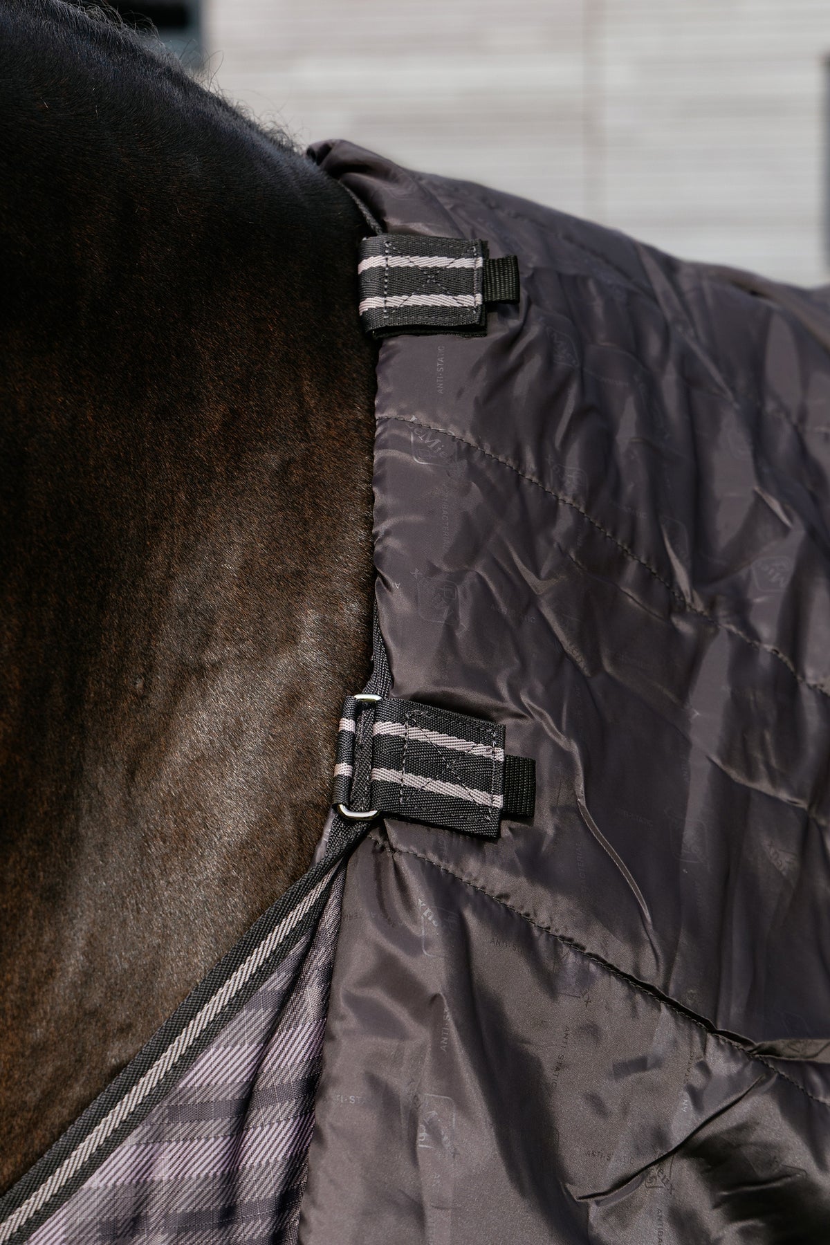 LeMieux Arika Heritage Check Turnout Rug, 100 g Horse Rugs