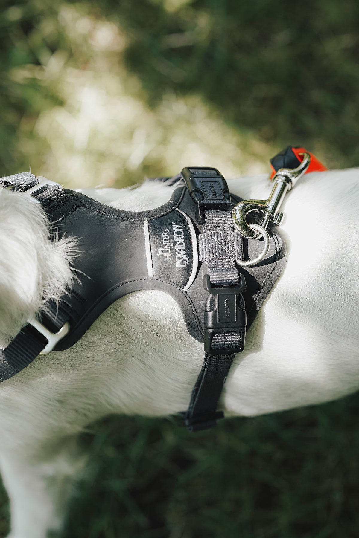 Eskadron Hunter x ESKADRON MOTION REFLECT Dog Harness Dog Accesories
