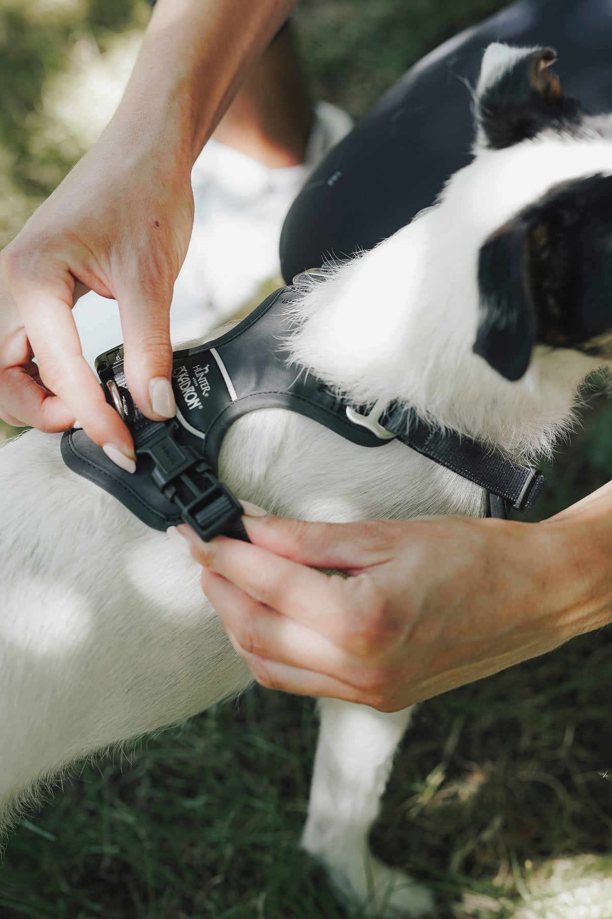Eskadron Hunter x ESKADRON MOTION REFLECT Dog Harness Dog Accesories