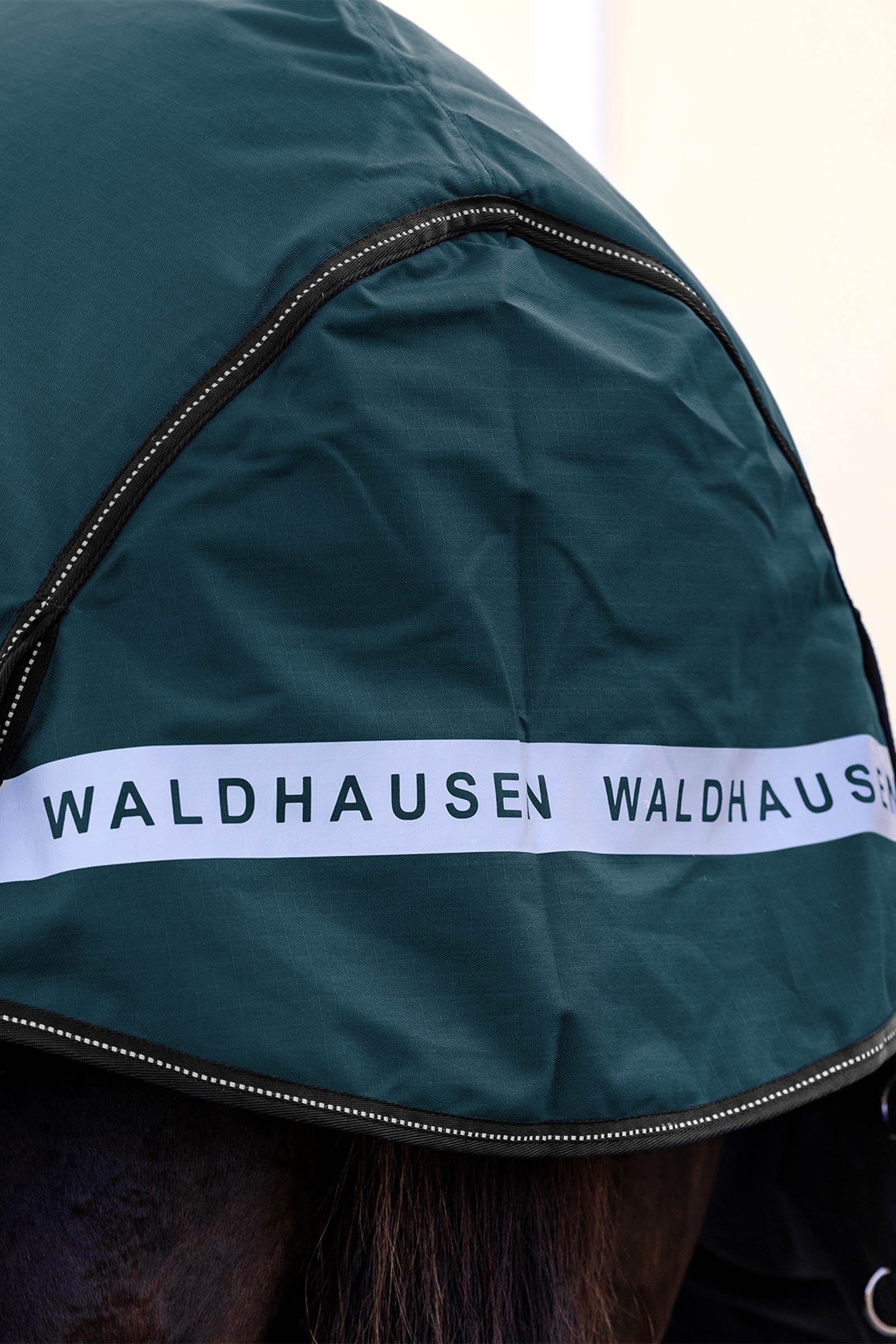 Alt Tag fallback text for IMAGE
