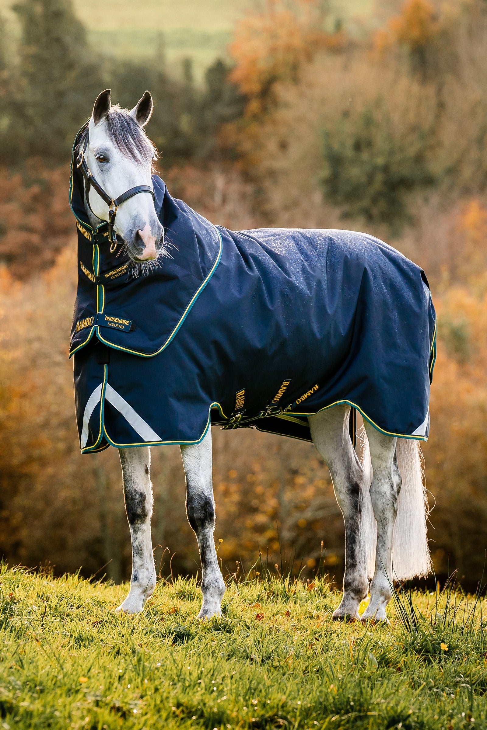 Horseware Rambo Duo Force 2.0 Kültéri Takaró, 100g (100g külső 100g béléssel és 300g béléssel) Lótakarók