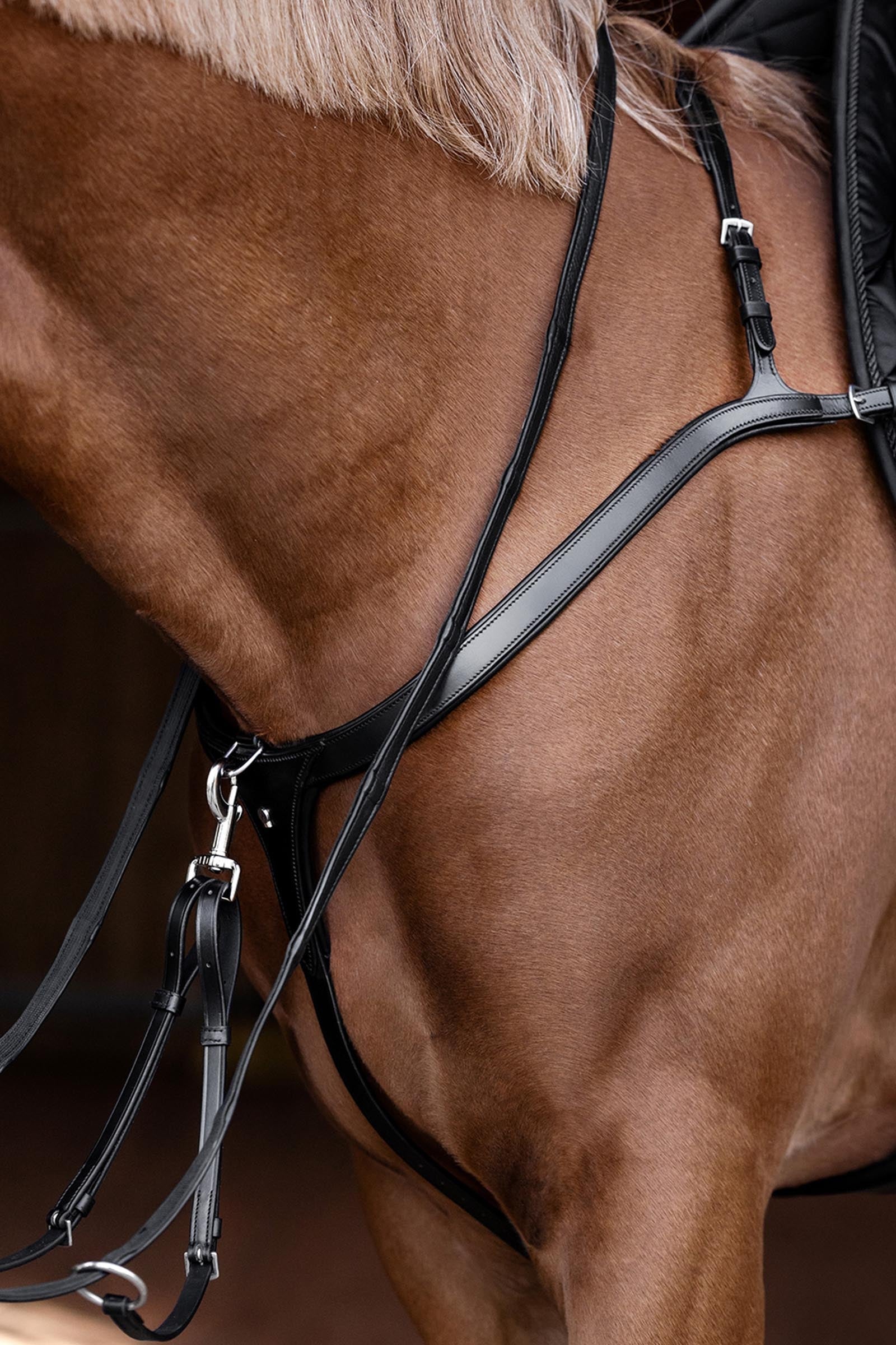 Waldhausen X-Line Breastplate With Long Bridge Bridles & Reins