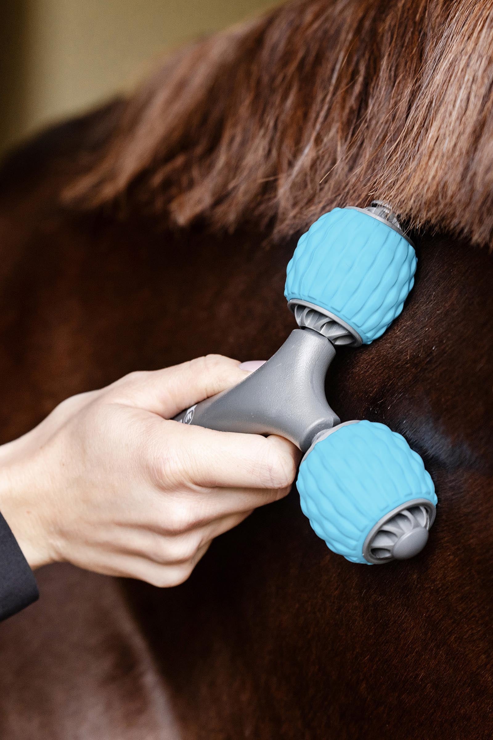 Waldhausen Health + Care Comfort Creator Stable Equipment