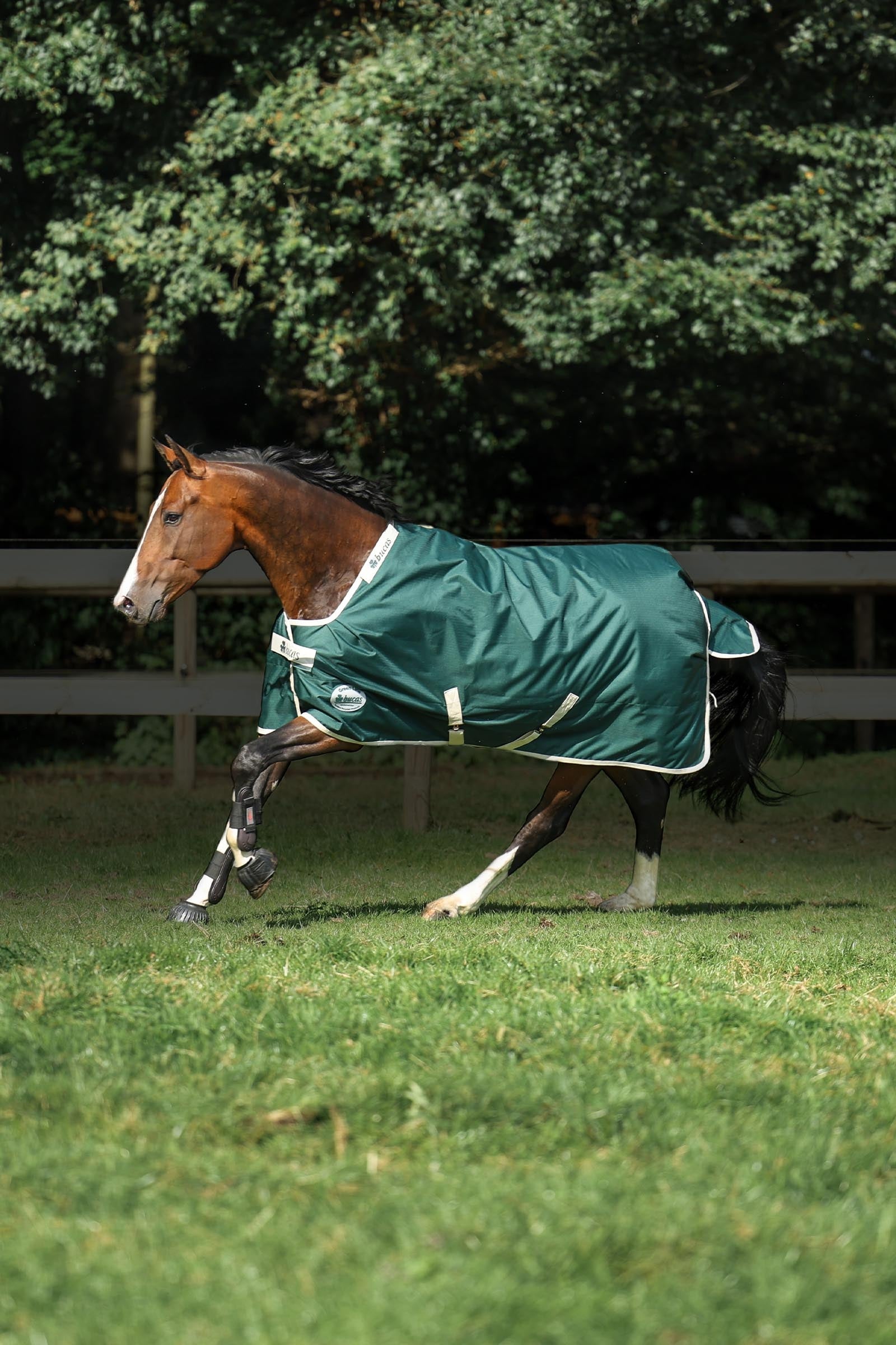 Bucas Green-Line Turnout 100g Horse Rugs