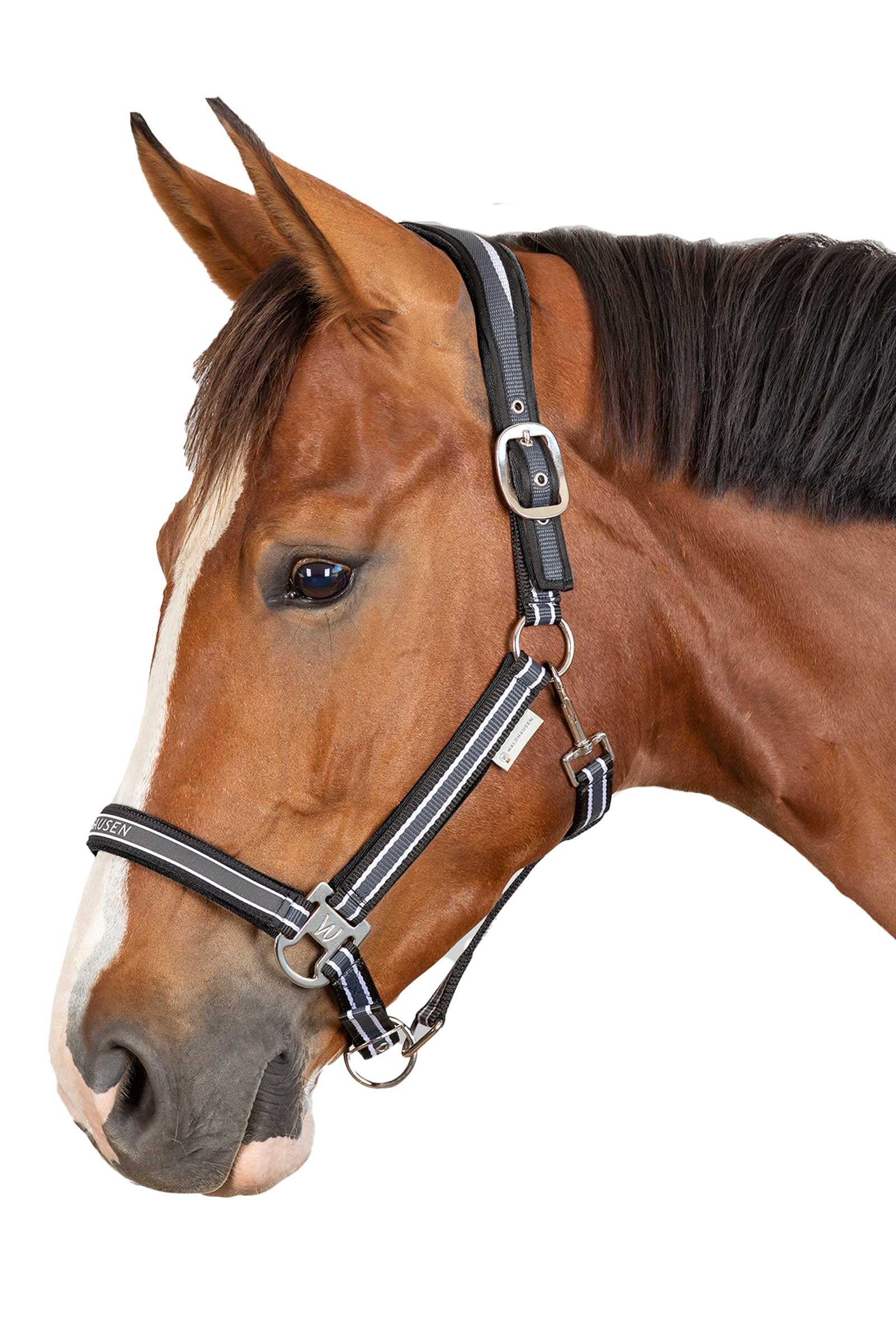 Waldhausen Athletic Halter  Halters & Leads