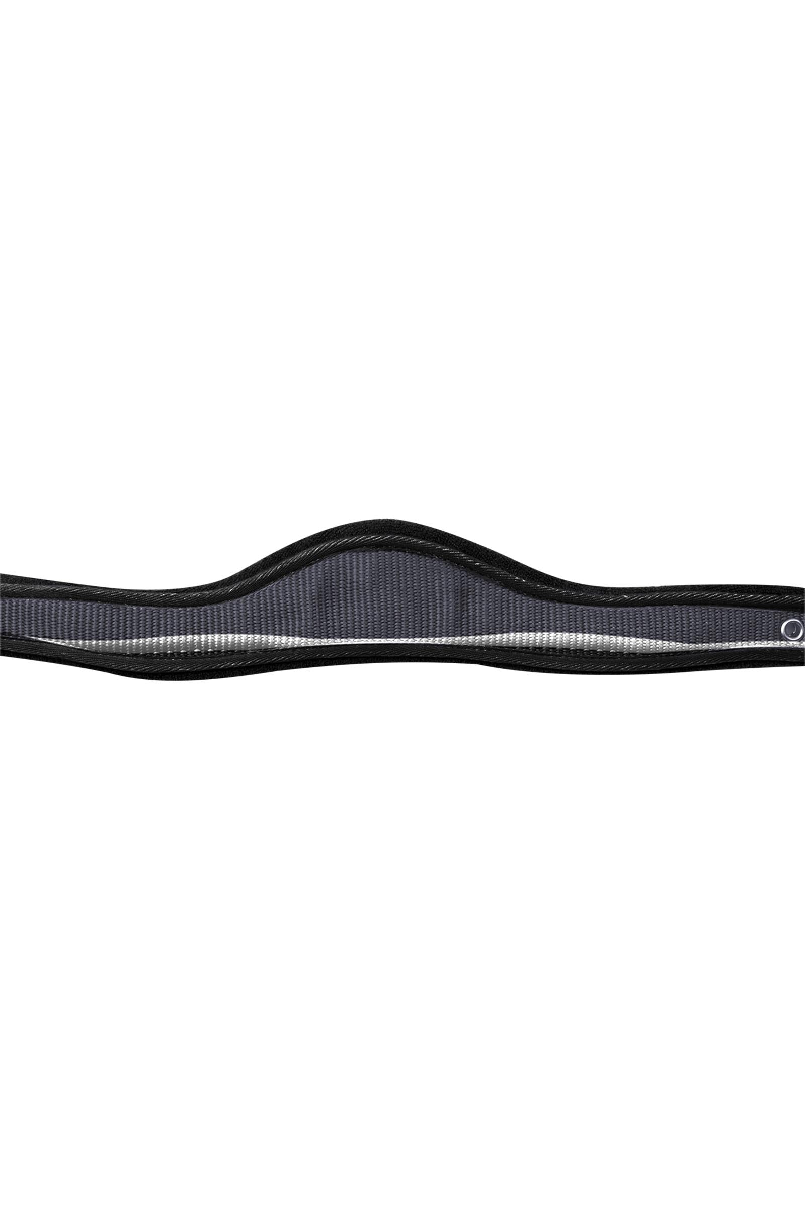 Waldhausen Athletic Halter  Halters & Leads