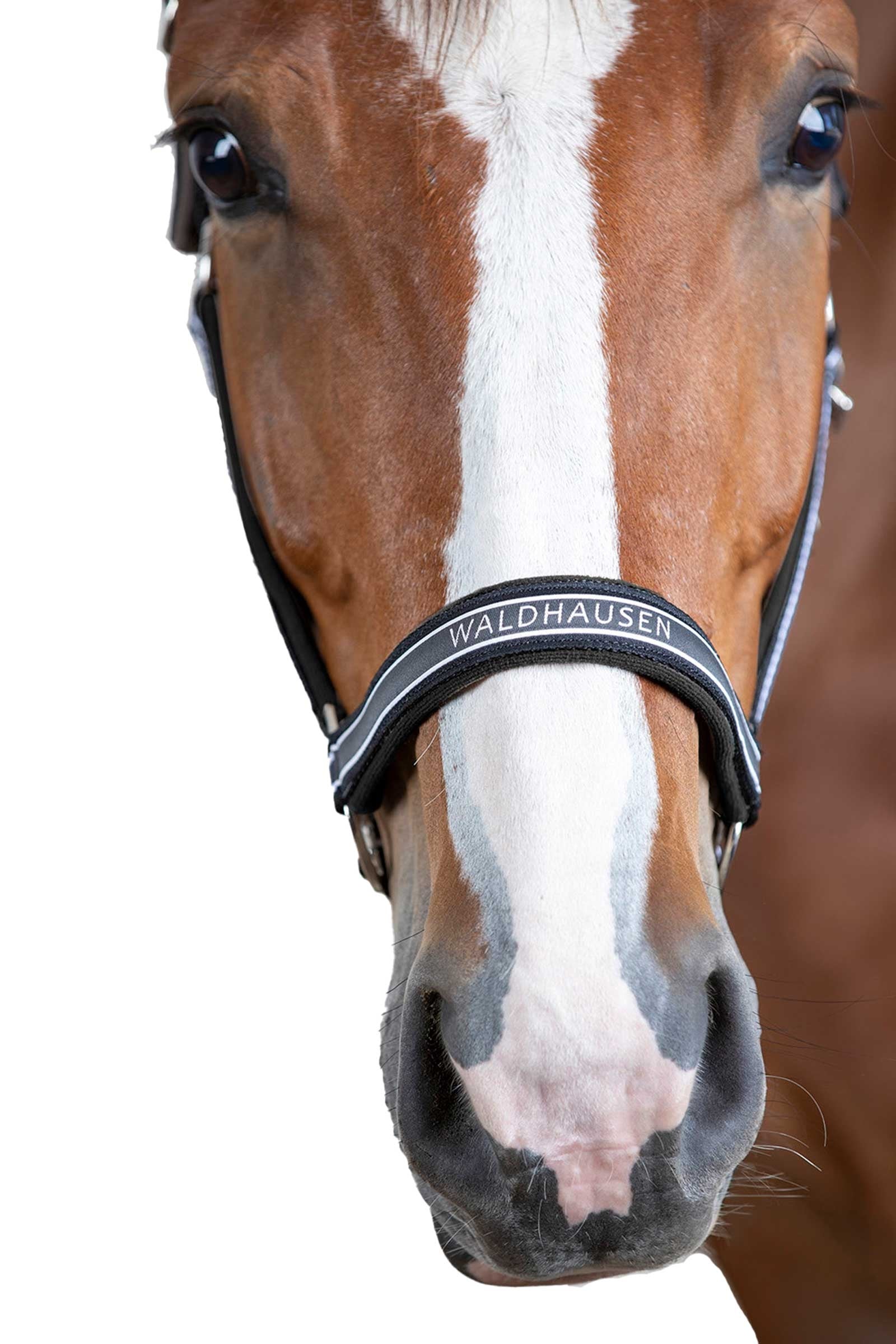 Waldhausen Athletic Halter  Halters & Leads