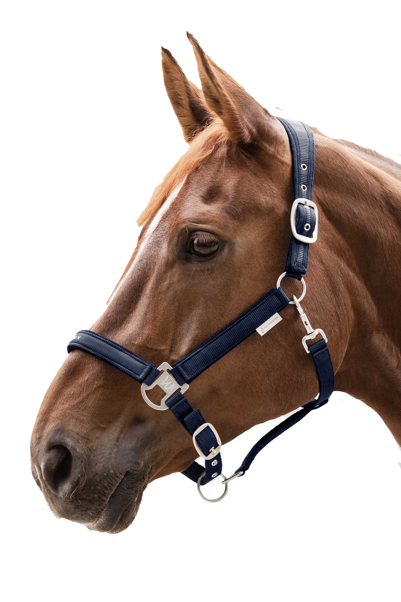 Waldhausen Athletic Halter  Halters & Leads