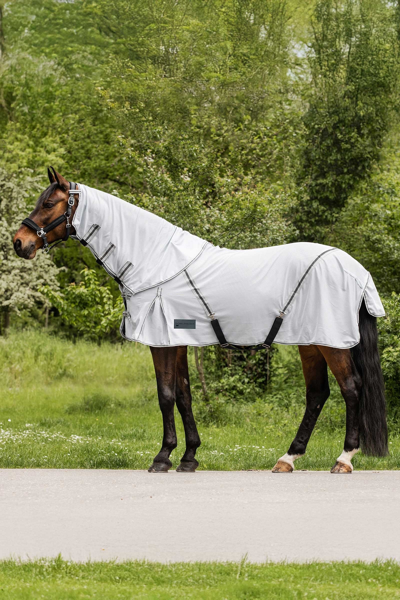 Waldhausen Protect Fly Rug With Detachable Neck Horse Rugs