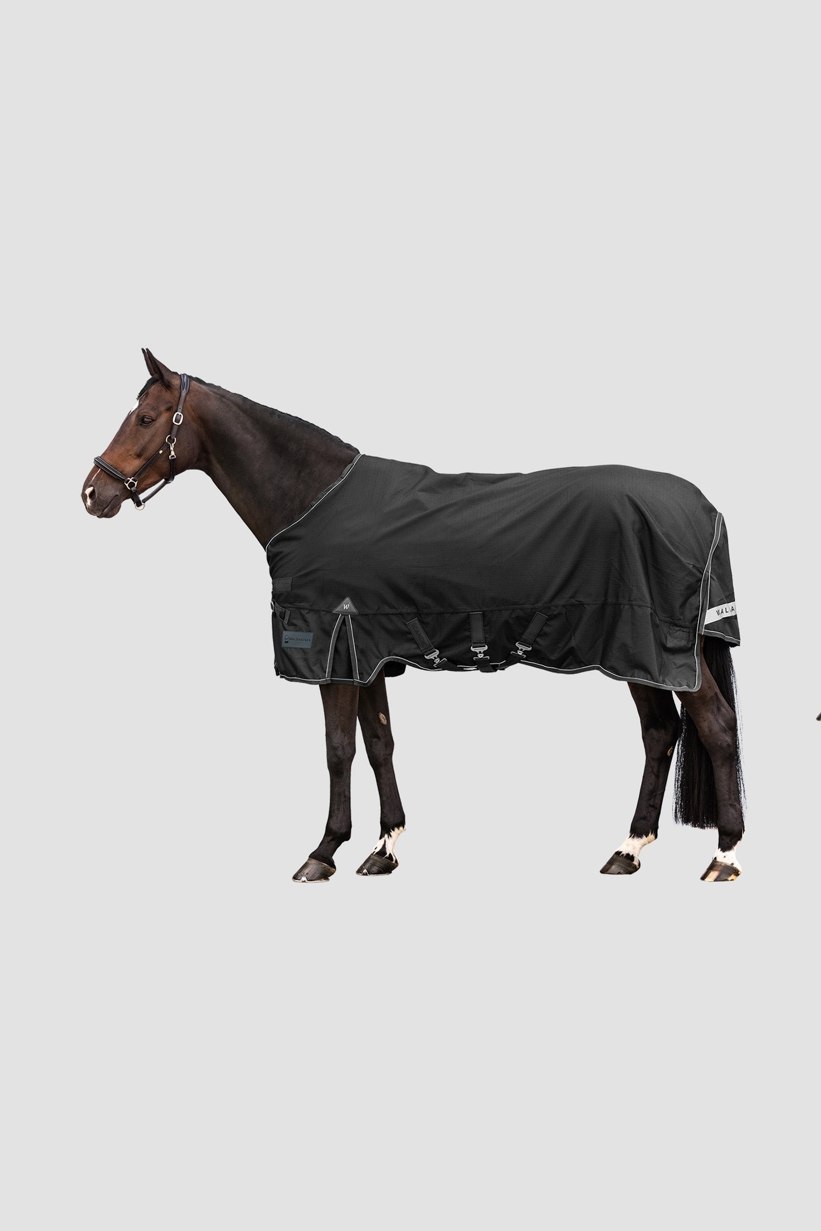 Waldhausen Outdoor Rug Scandic Multi-Layer 250 g/100 g Lótakarók