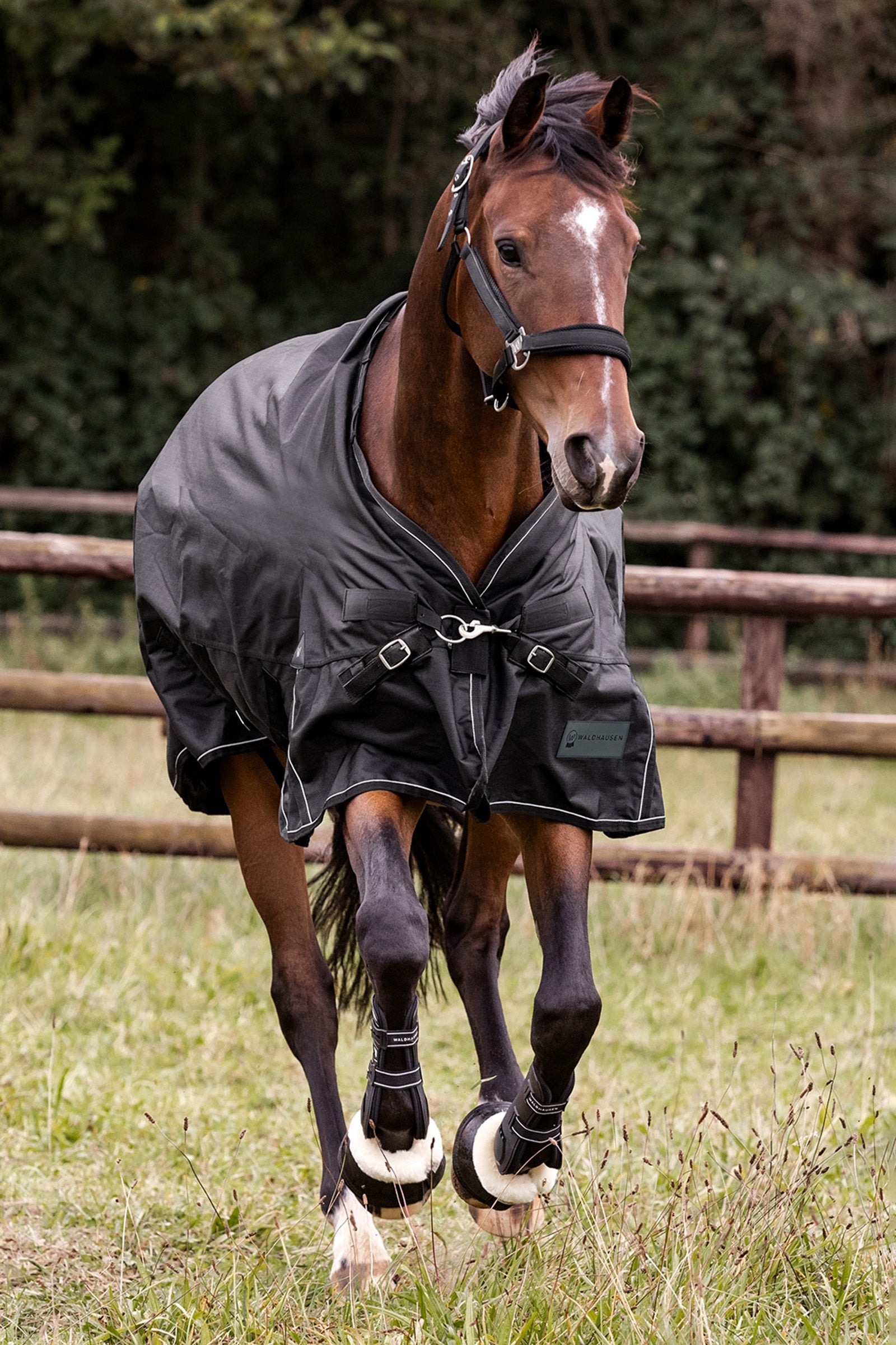 Waldhausen Outdoor Rug Scandic Multi-Layer 250 g/100 g Horse Rugs