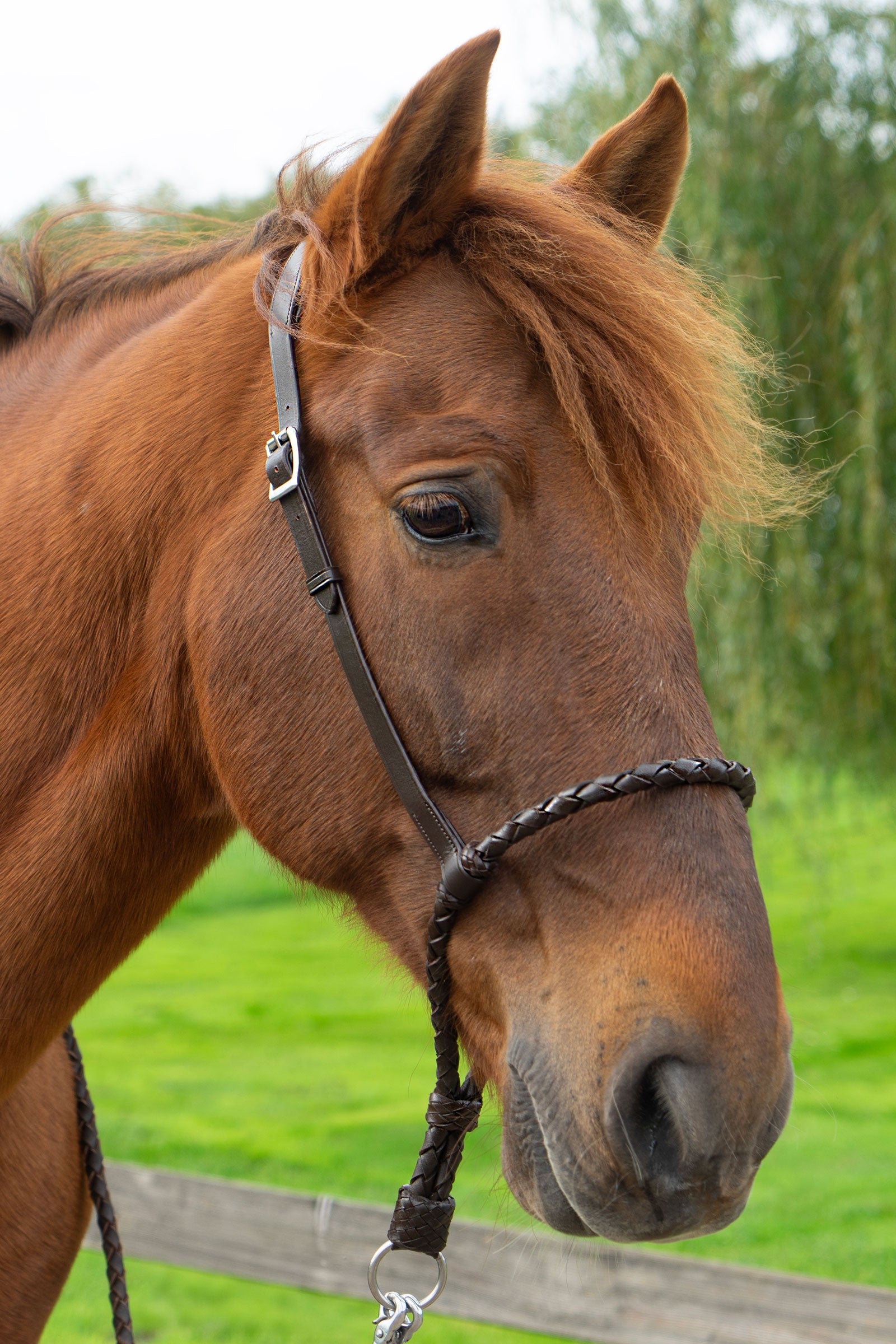 F.R.A. Freedom Riding Articles Bosal Tigo Bridles & Reins