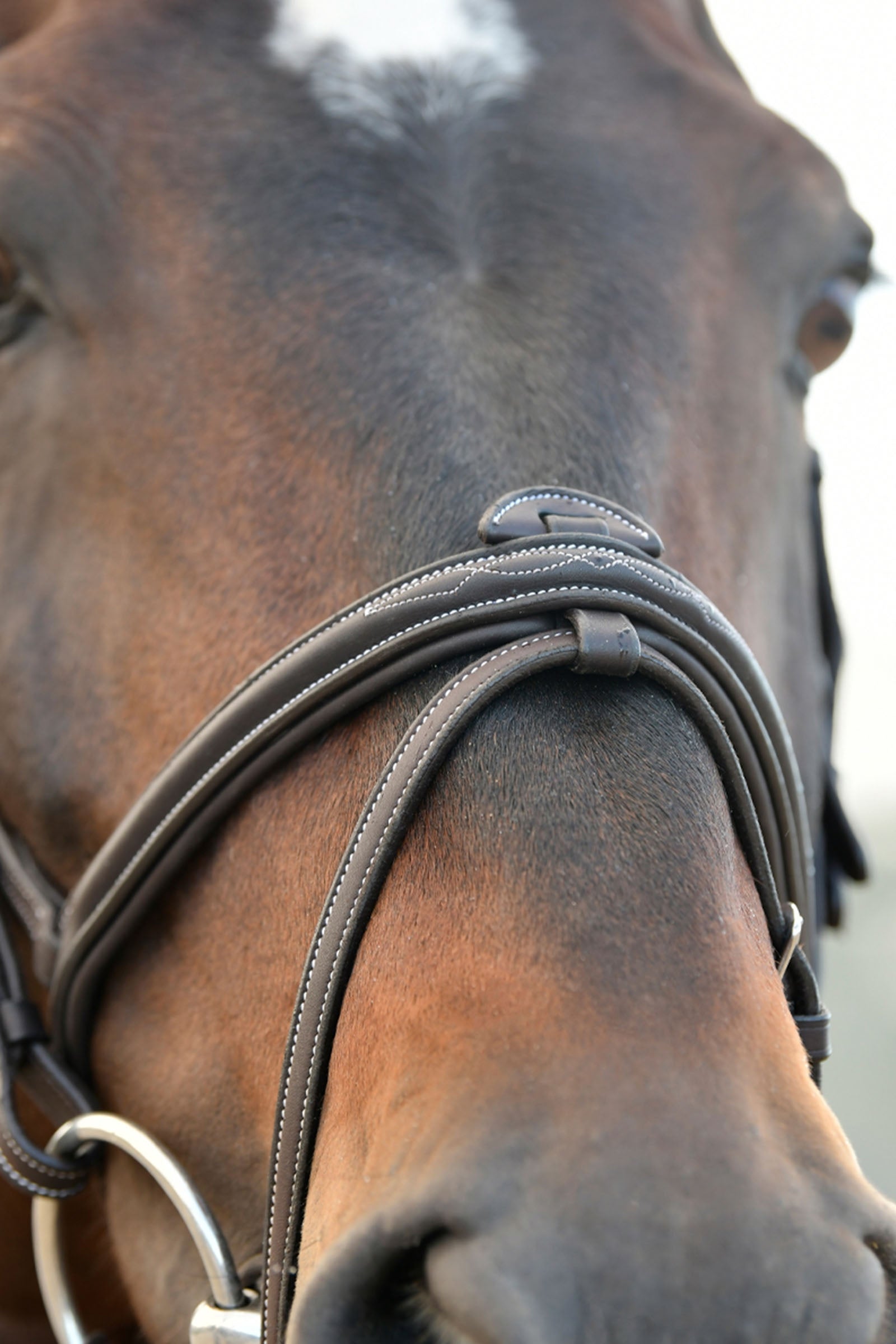 Collegiate Comfitec Opulux Fancy Stitch Padded Hanoverian Bridle Bridles & Reins