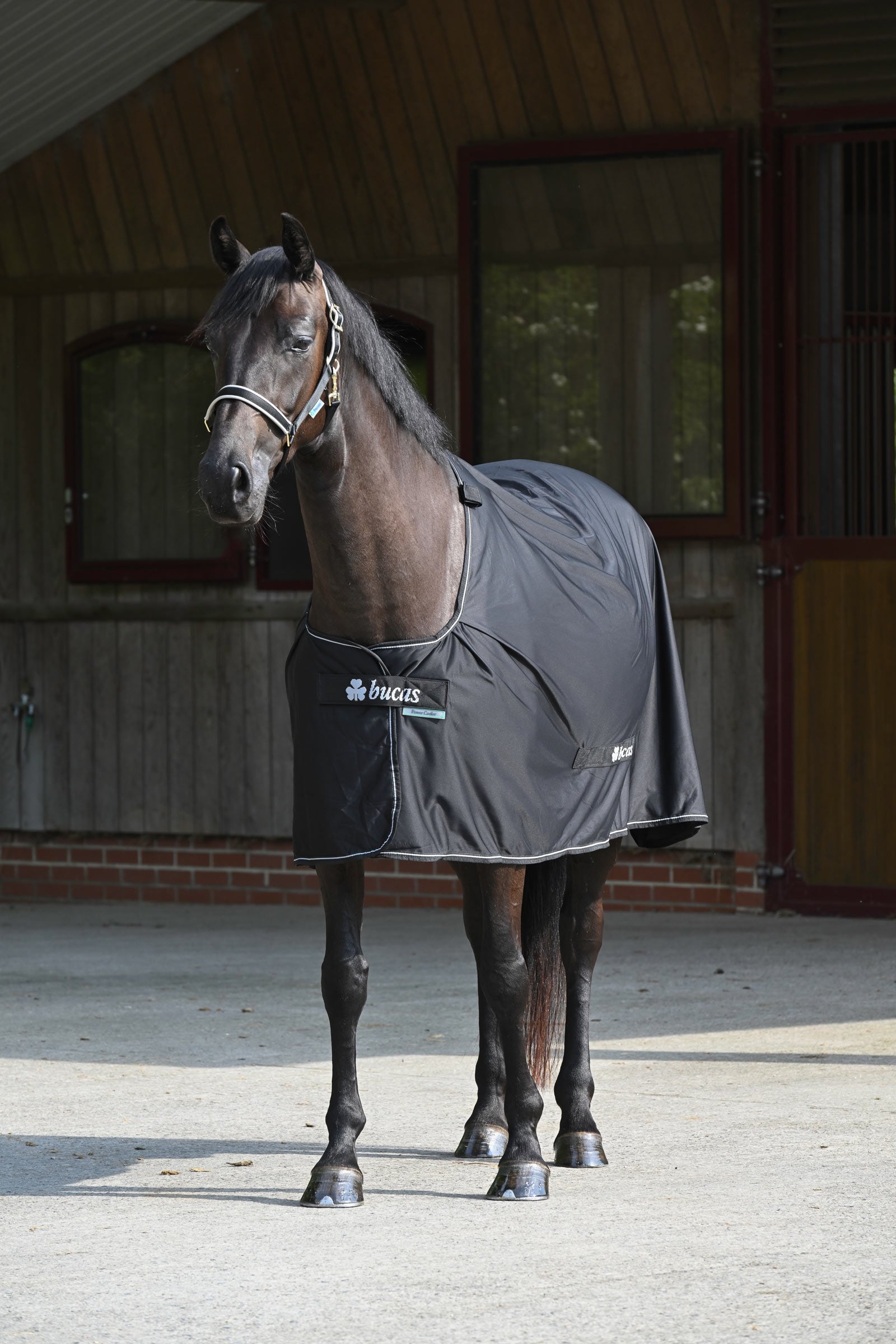 Bucas Power Cooler + Neck Set Horse Rugs