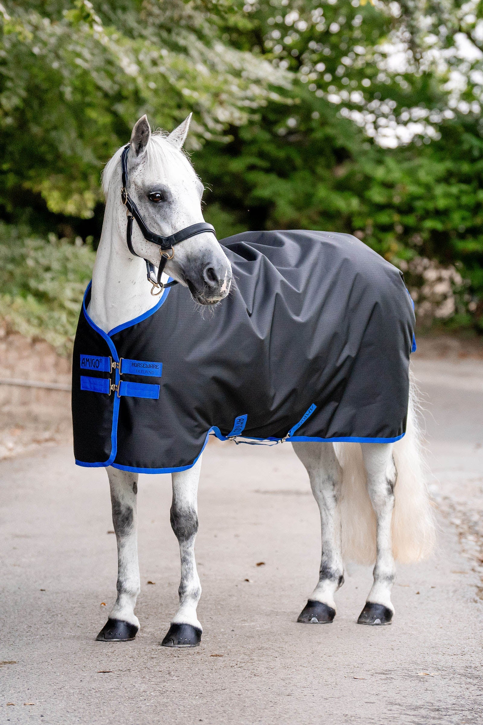 Horseware Amigo Ripstop 900D Turnout 0g Horse Rugs