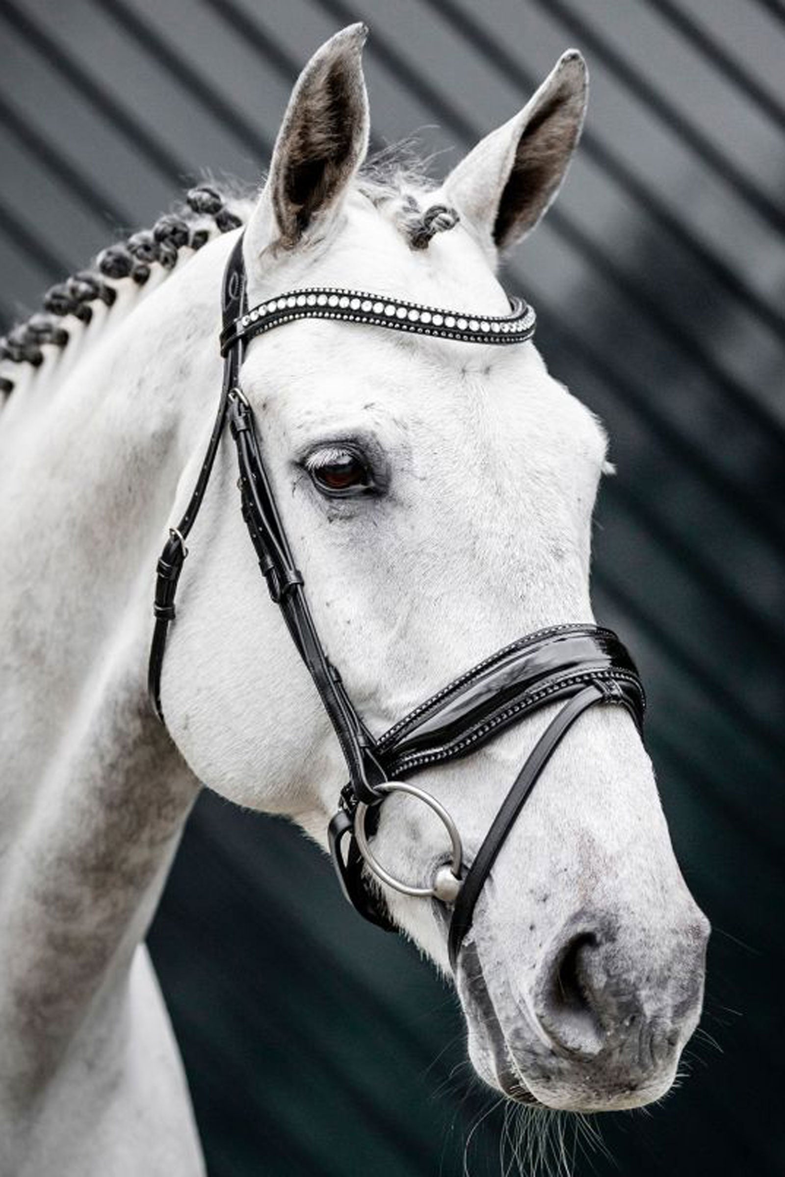Horseware Diamante kantár kombinált orrszíjjal Kantárok & Szárak