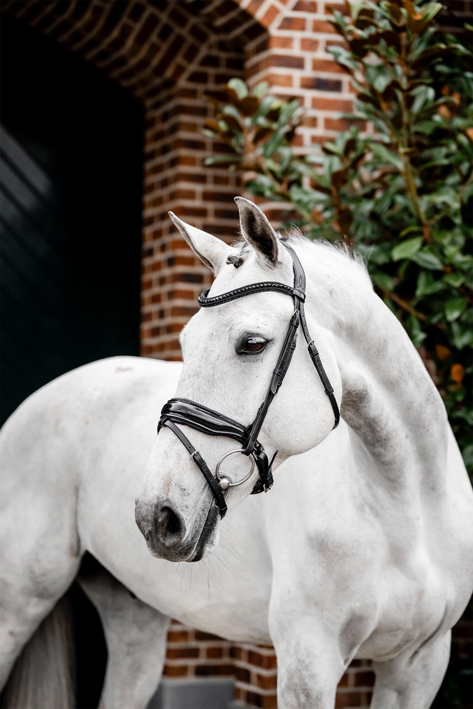 Horseware Diamante kantár kombinált orrszíjjal Kantárok & Szárak