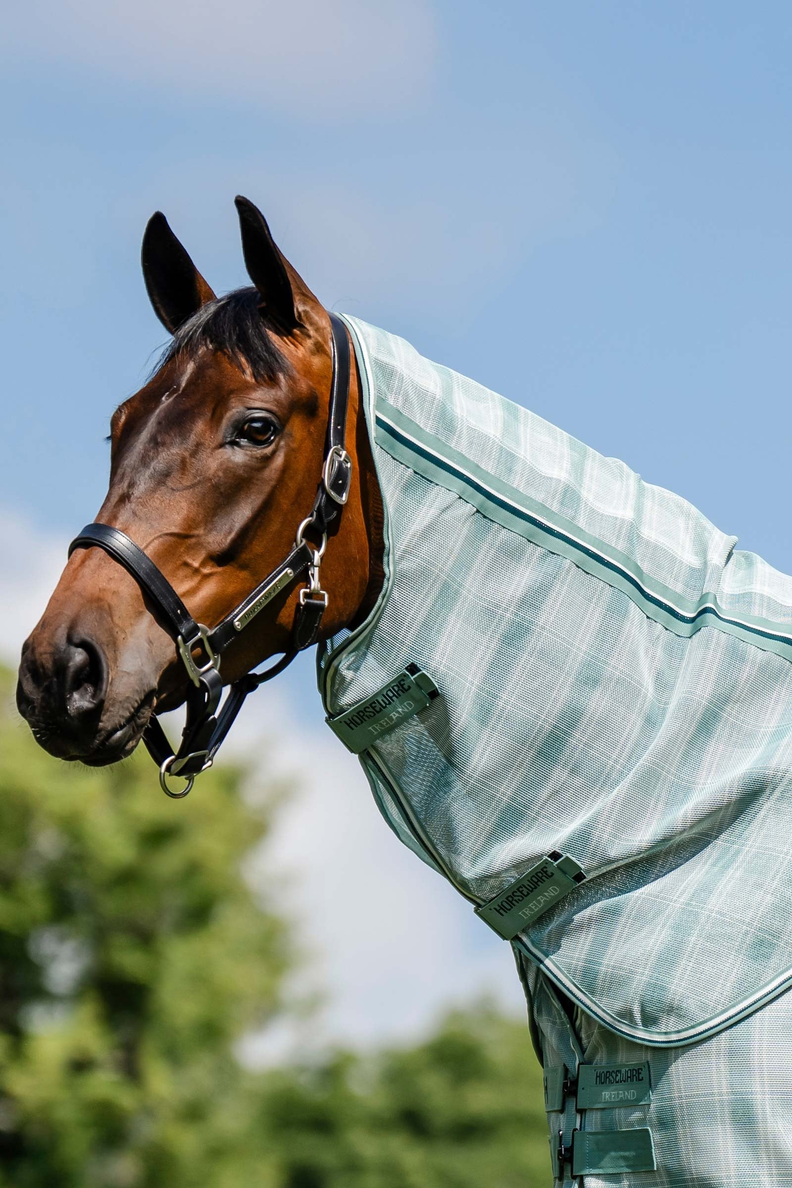 Horseware Newmarket nyakrész légyvédő takaróhoz UV-védelemmel Lótakarók