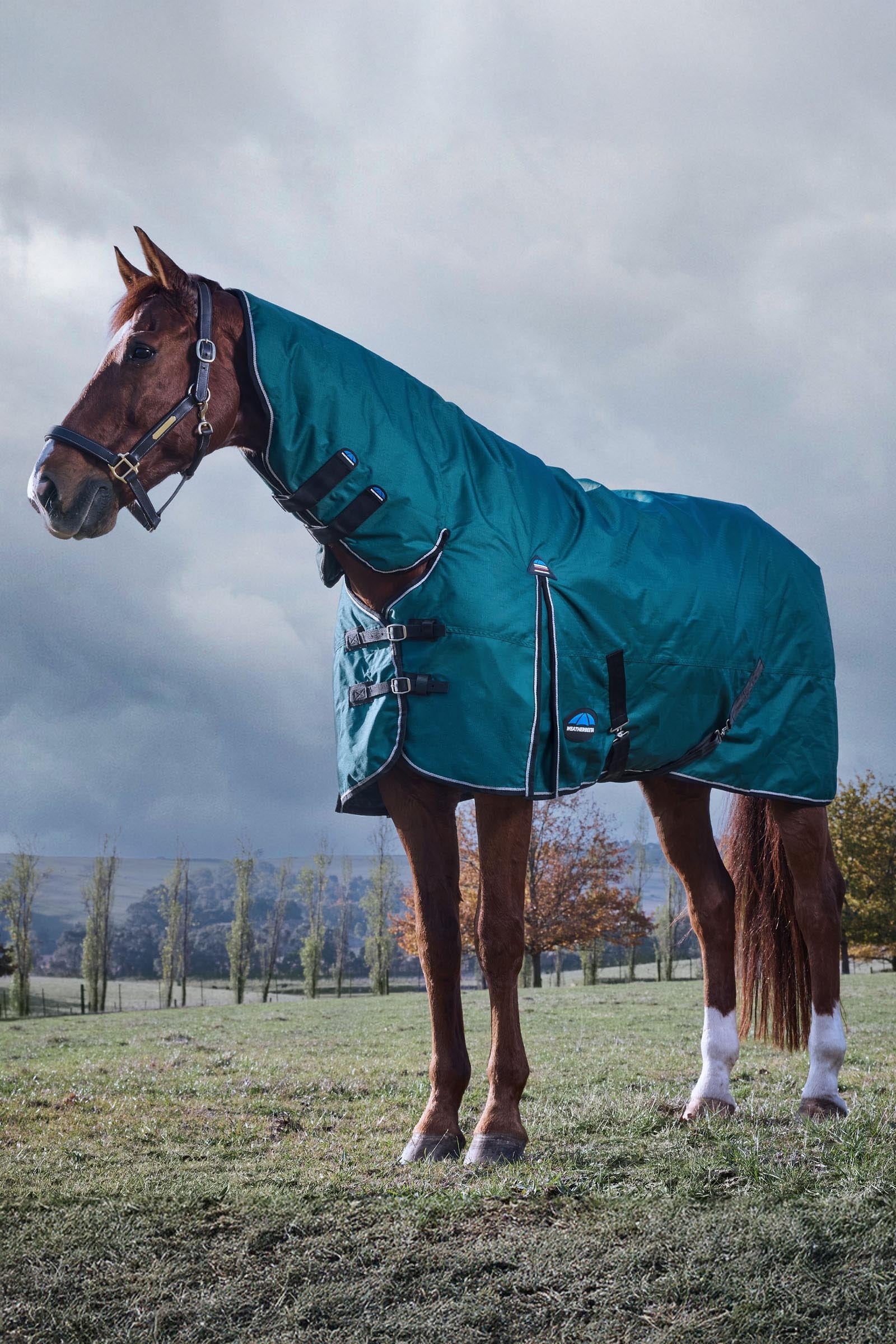 Weatherbeeta Comfitec Classic Turnout Rug Combo 220g Horse Rugs