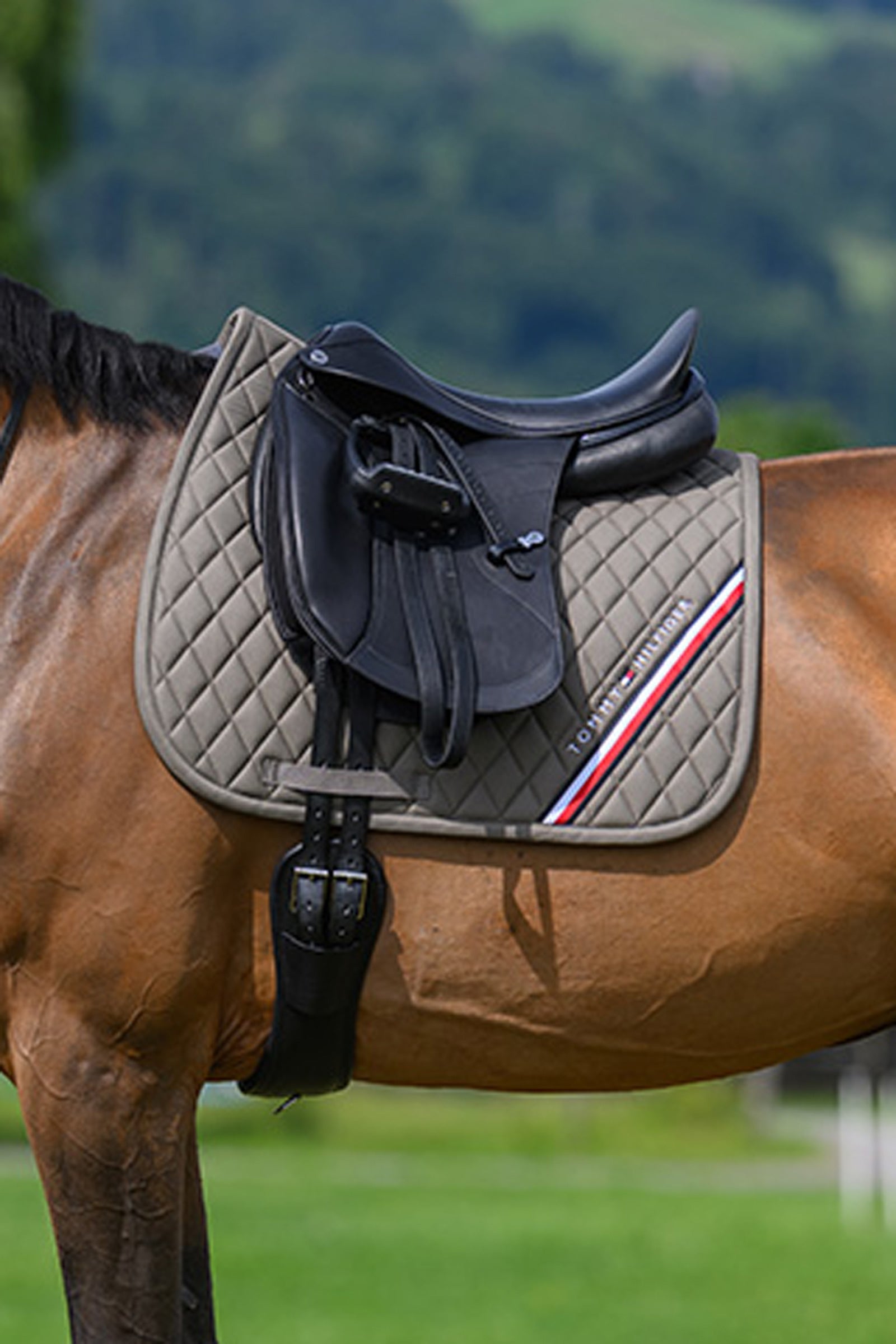 Tommy Hilfiger Equestrian Stanford díjlovagló nyeregalátét Nyeregalátétek