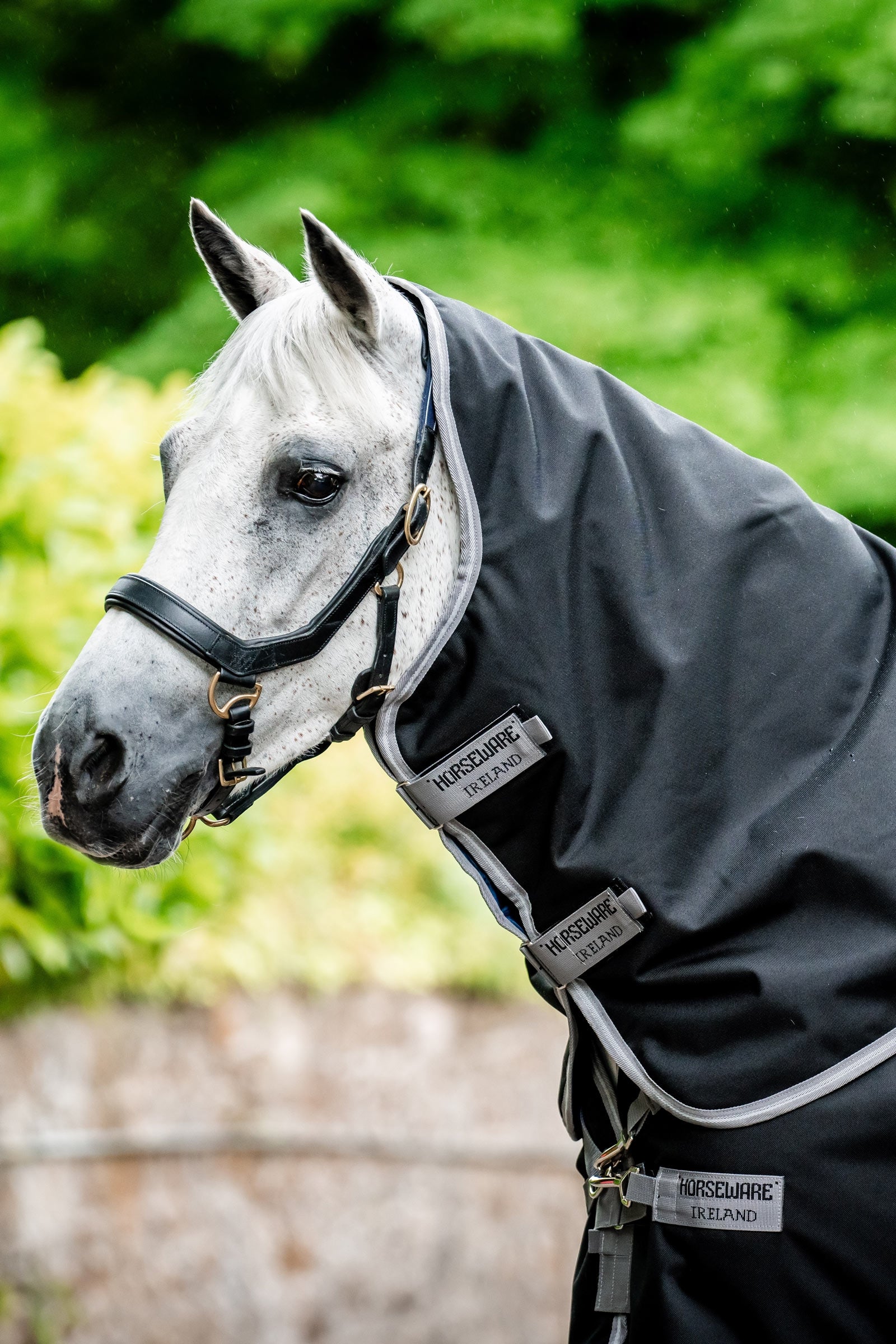Horseware Amigo 1200D Plus Turnout Rug, 250 g Horse Rugs