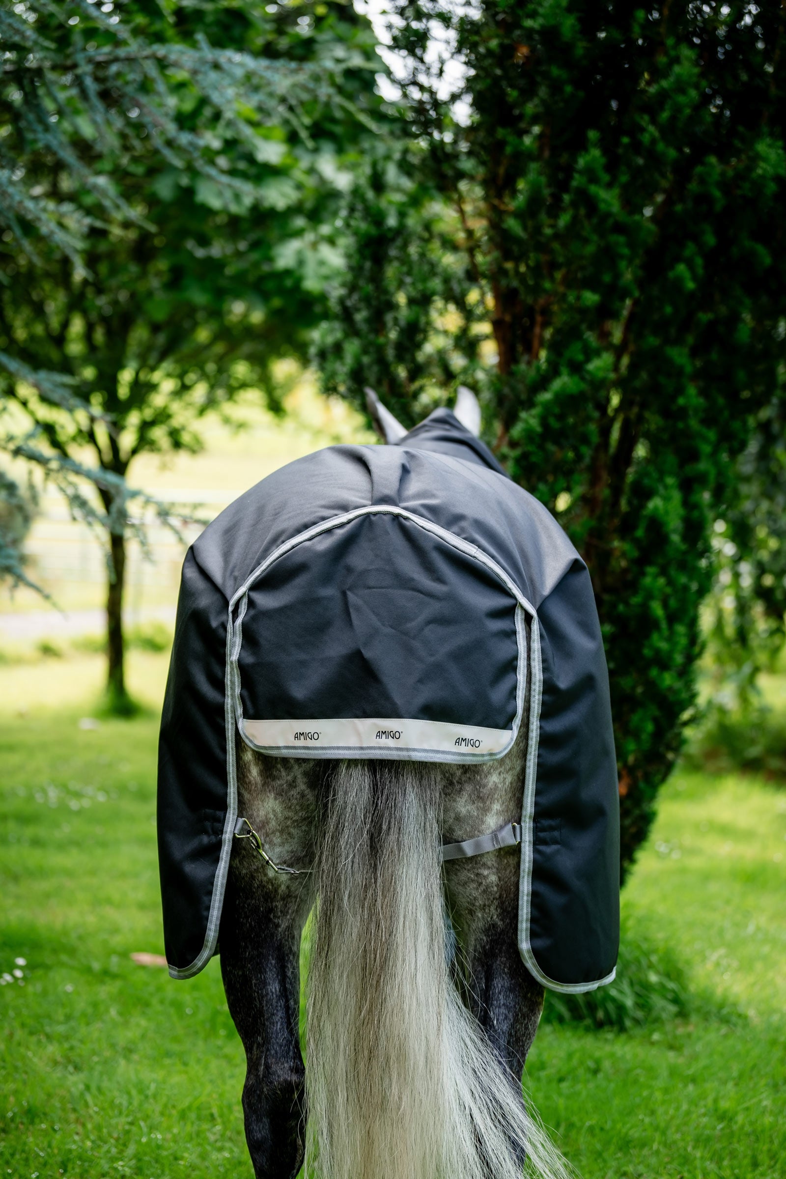 Horseware Amigo 1200D Plus Turnout Rug, 250 g Horse Rugs