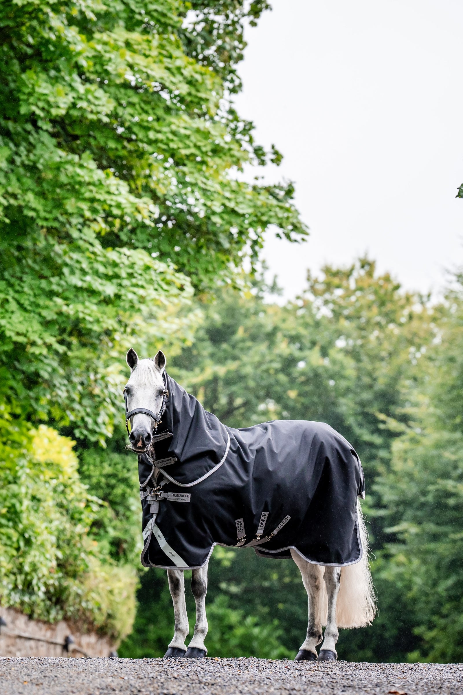 Horseware Amigo 1200D Plus Turnout Rug, 250 g Horse Rugs