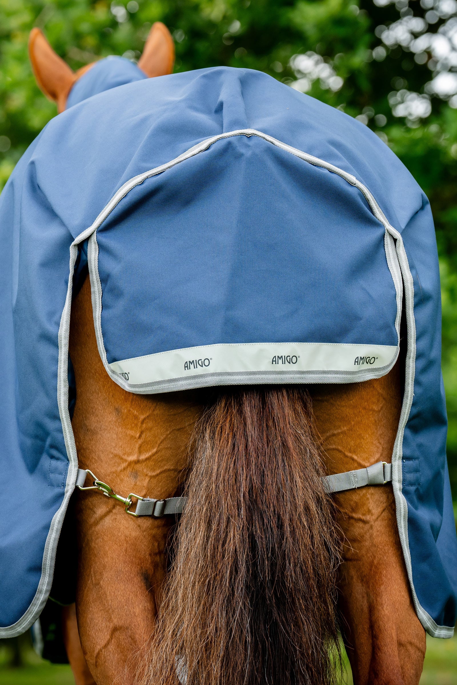 Horseware Amigo 1200D Plus Turnout Rug, 250 g Horse Rugs