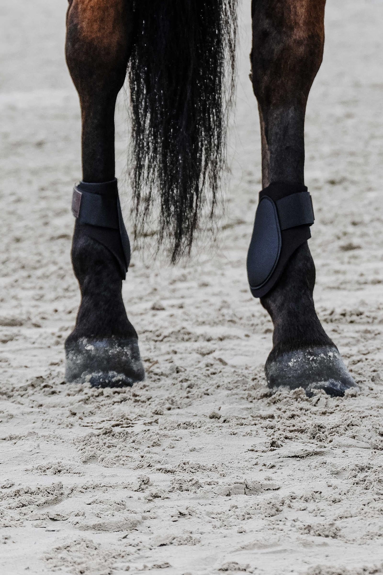 EQUITHÈME Tara Fetlock Boots Leg & Hoof Protection