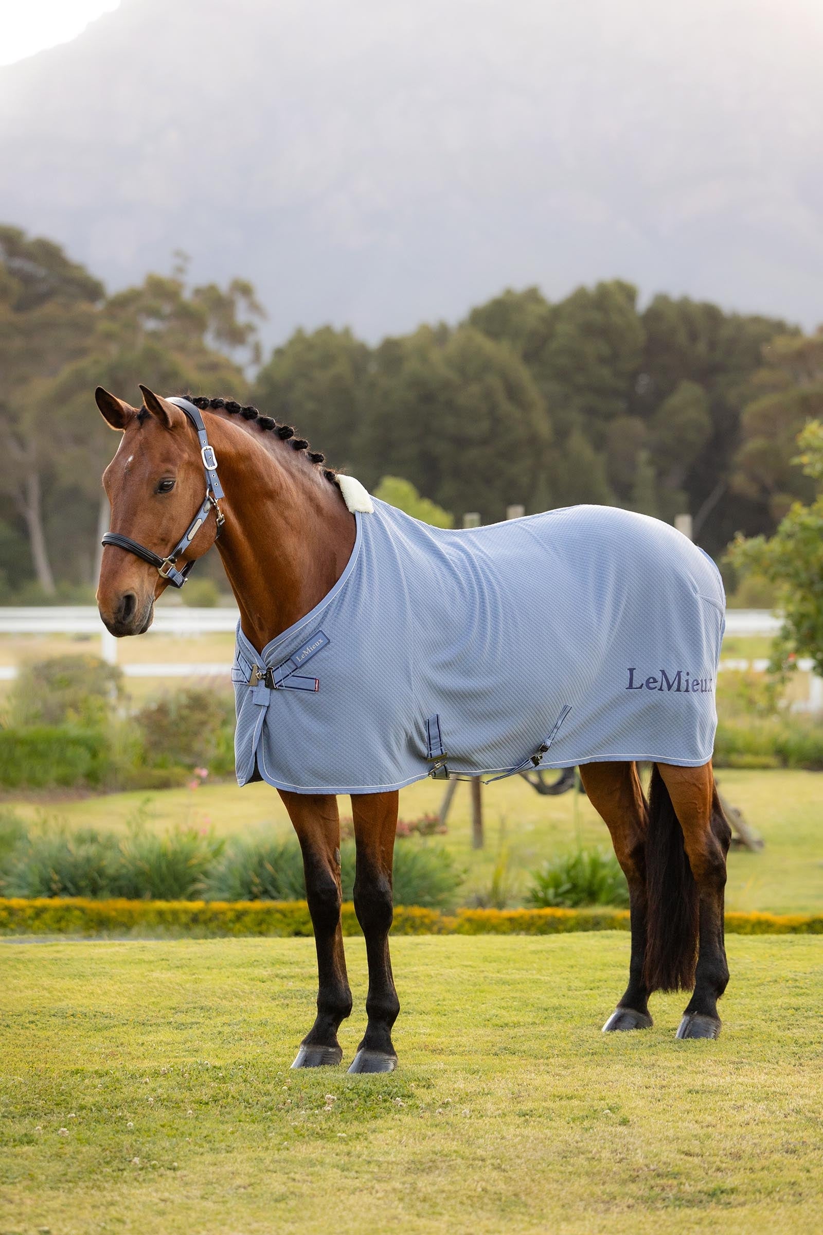 LeMieux Kudos Bamboo Cooler Horse Rugs