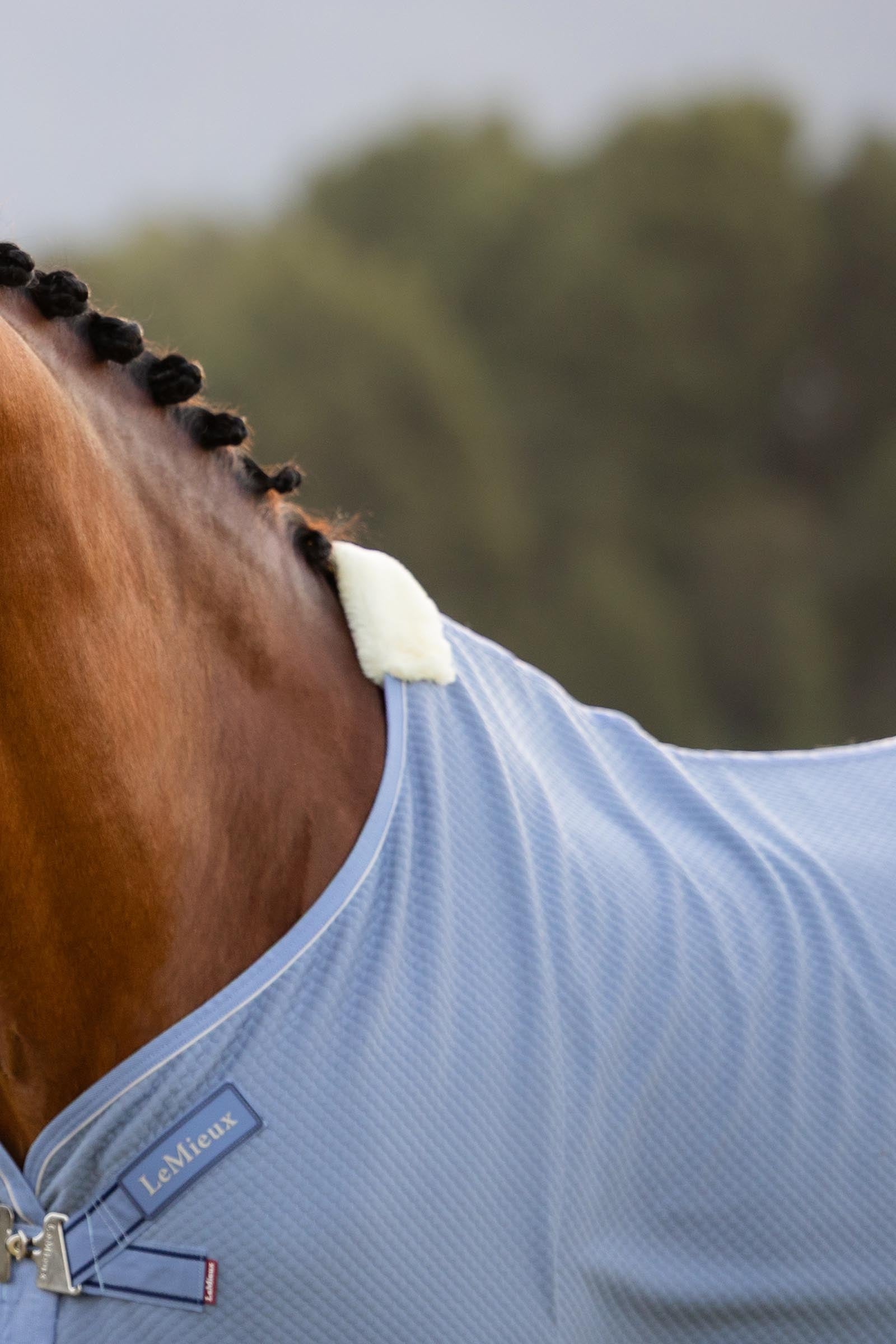 LeMieux Kudos Bamboo Cooler Horse Rugs