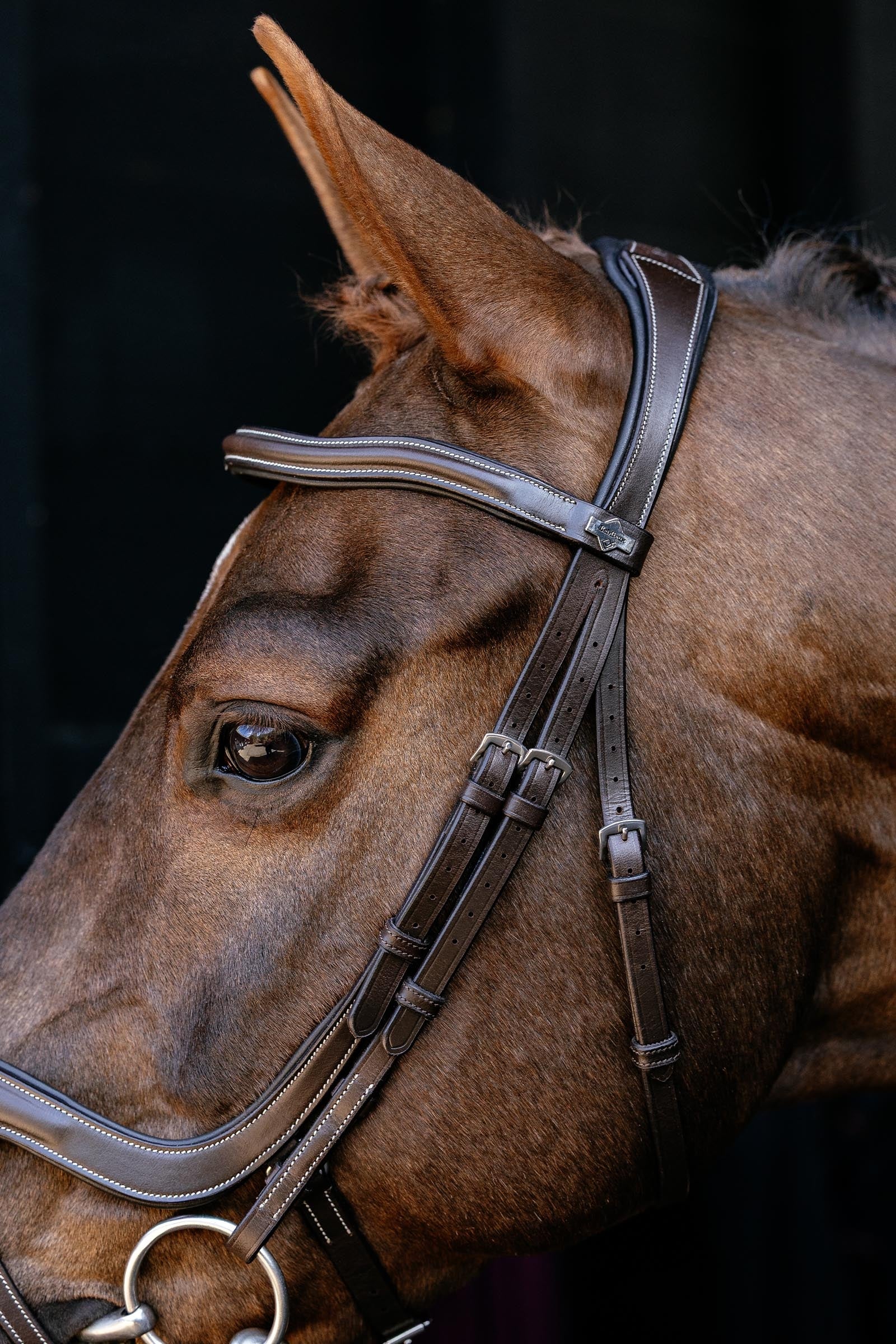 LeMieux Arika Cavesson Bridle Horse Training